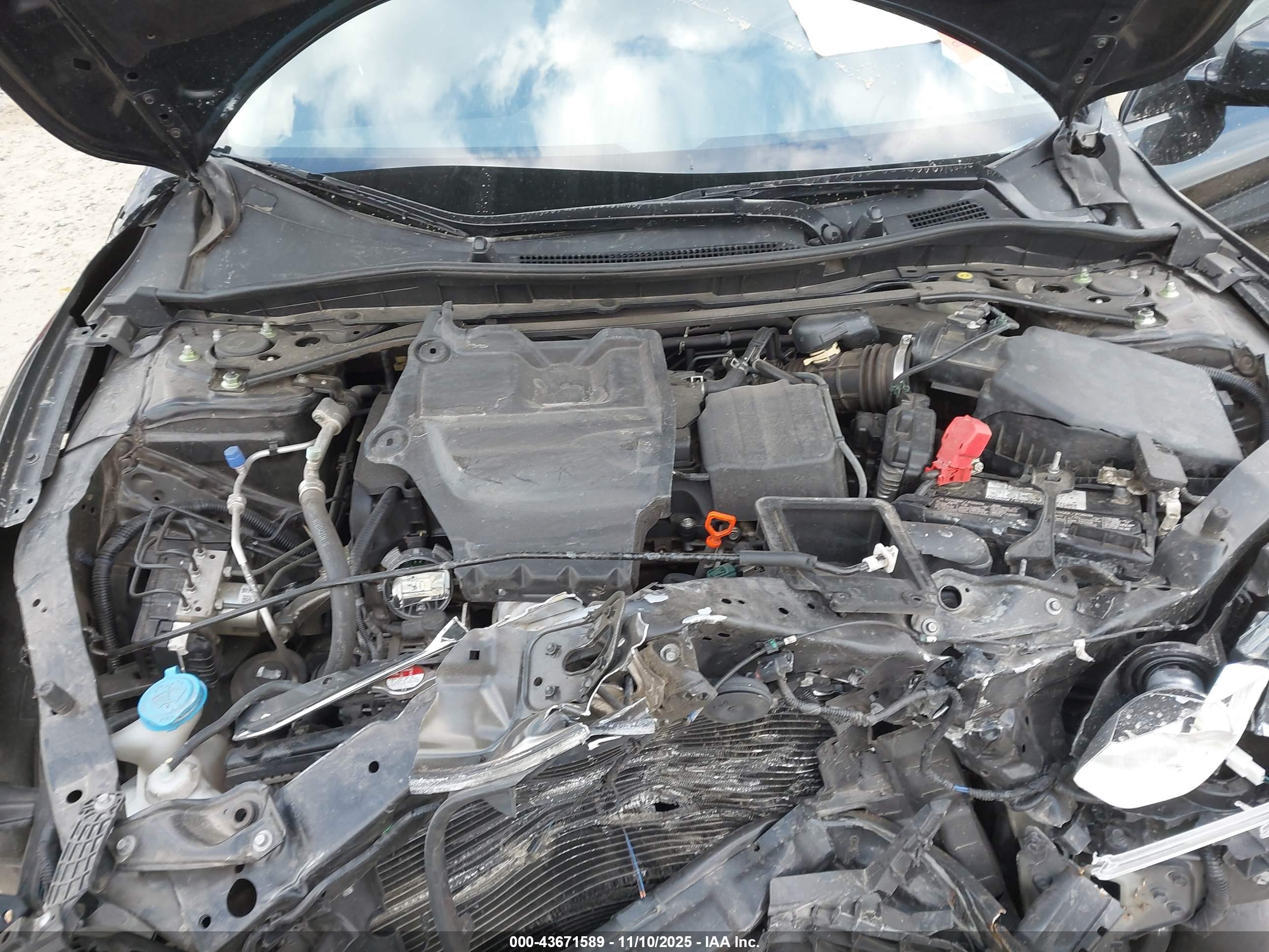 HONDA ACCORD image 10