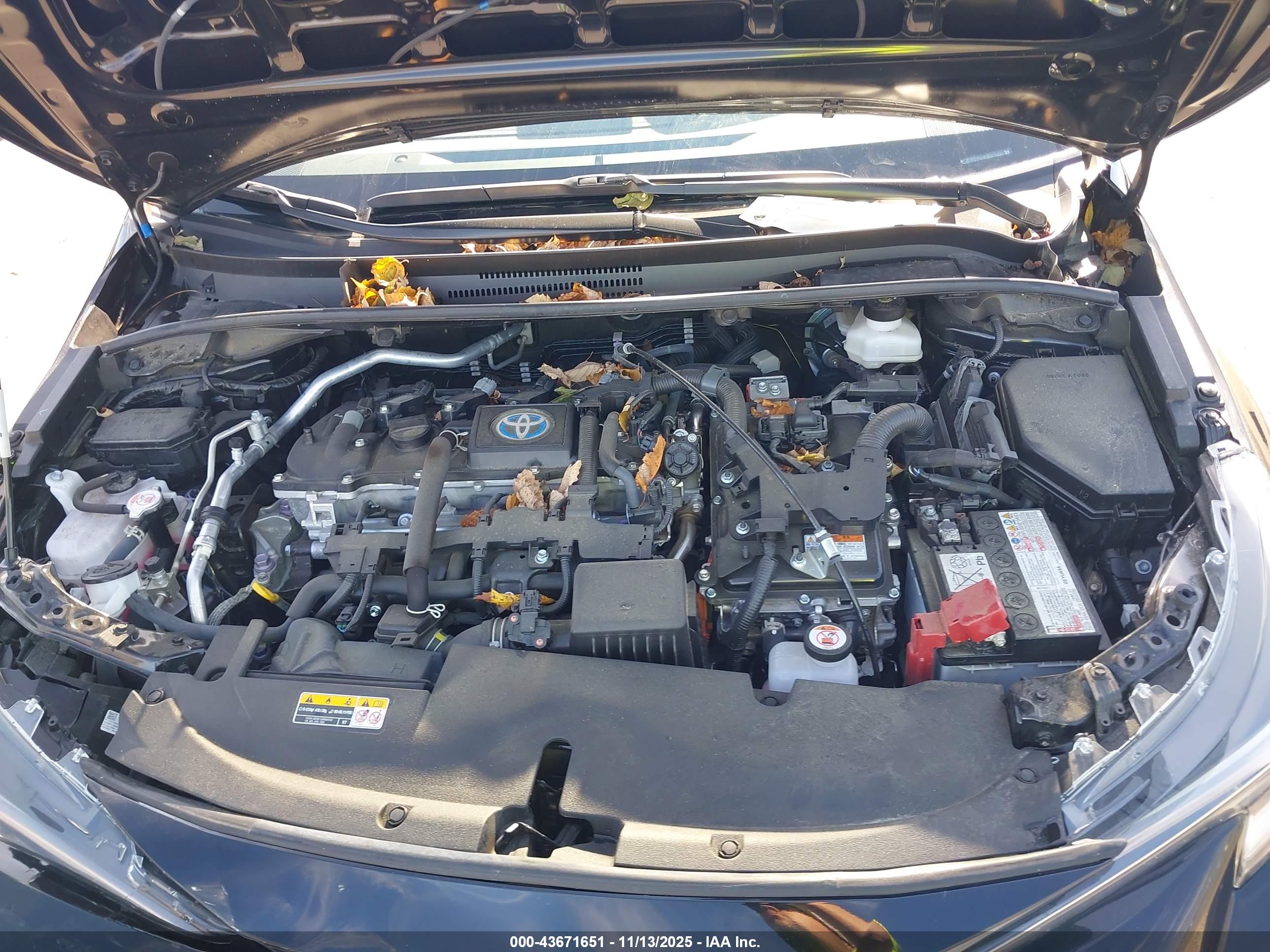 TOYOTA COROLLA image 10