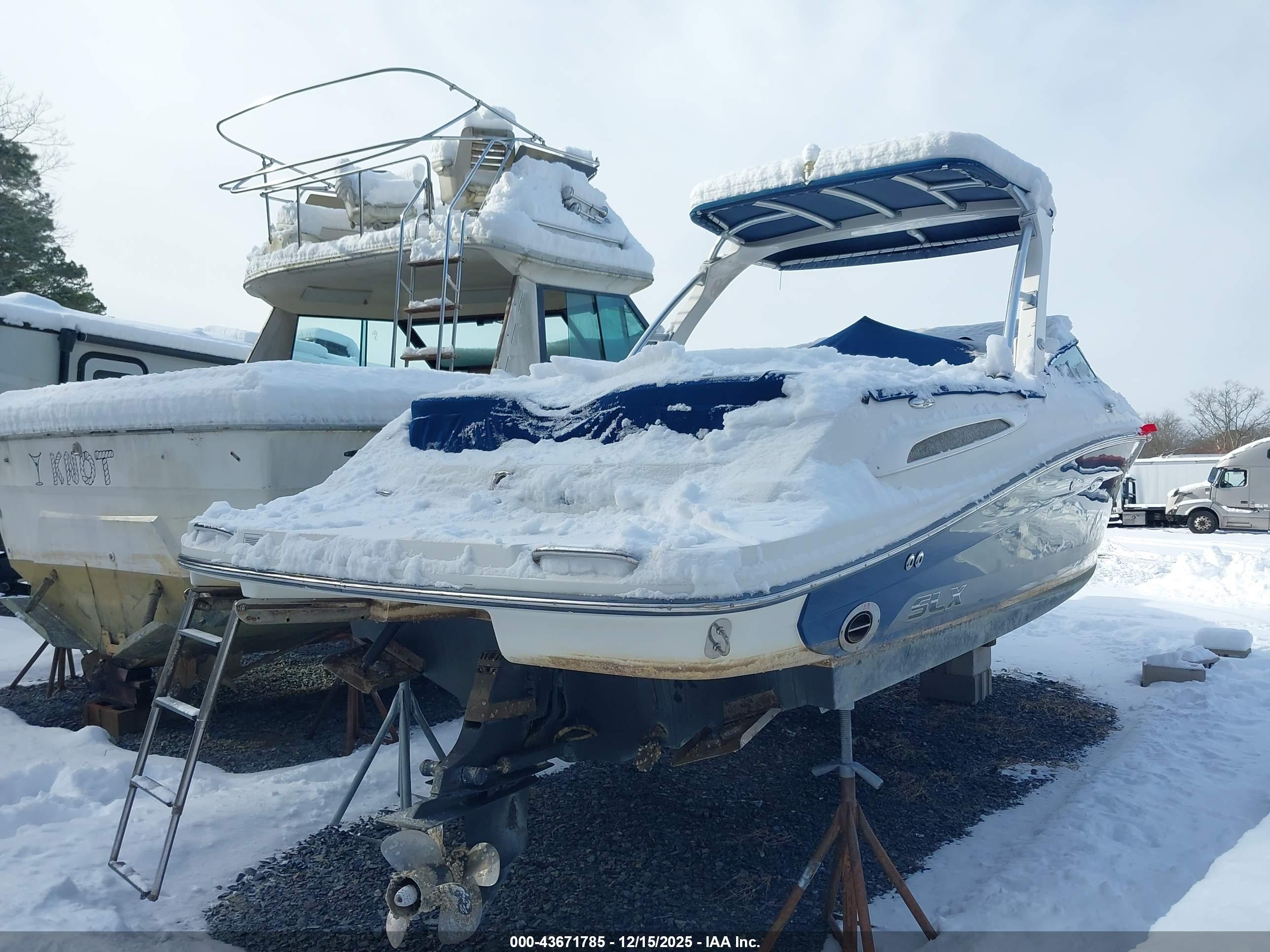 SEA RAY image 4