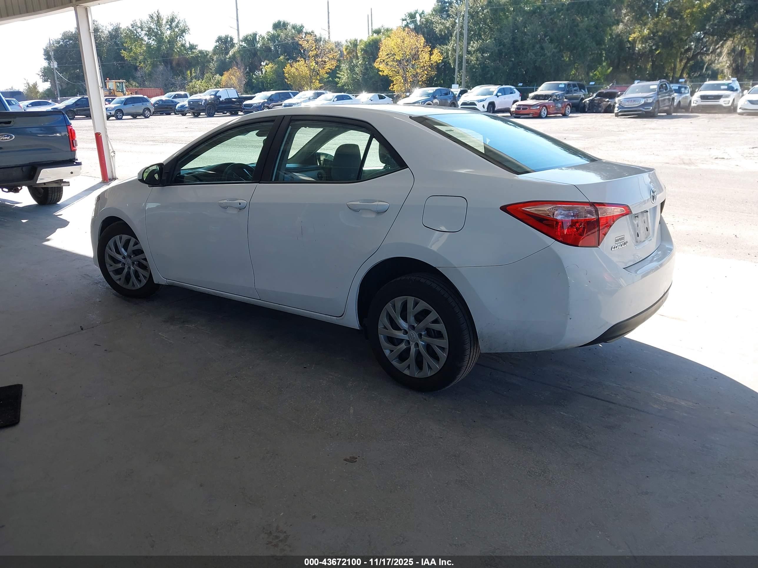 TOYOTA COROLLA image 3