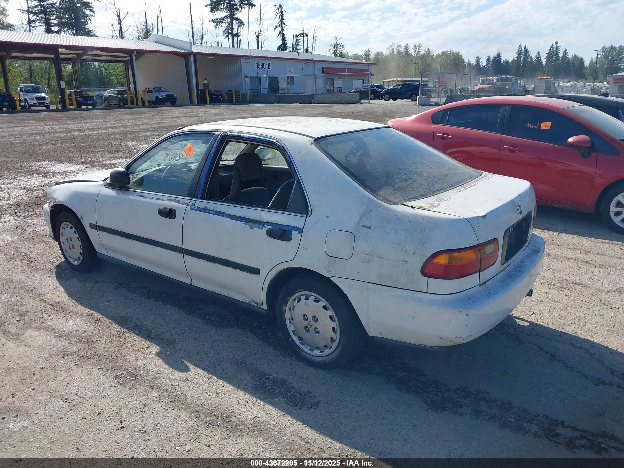 HONDA CIVIC image 3