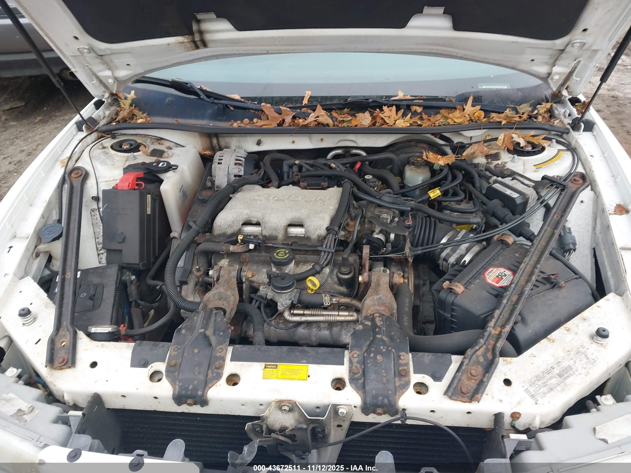BUICK CENTURY image 10
