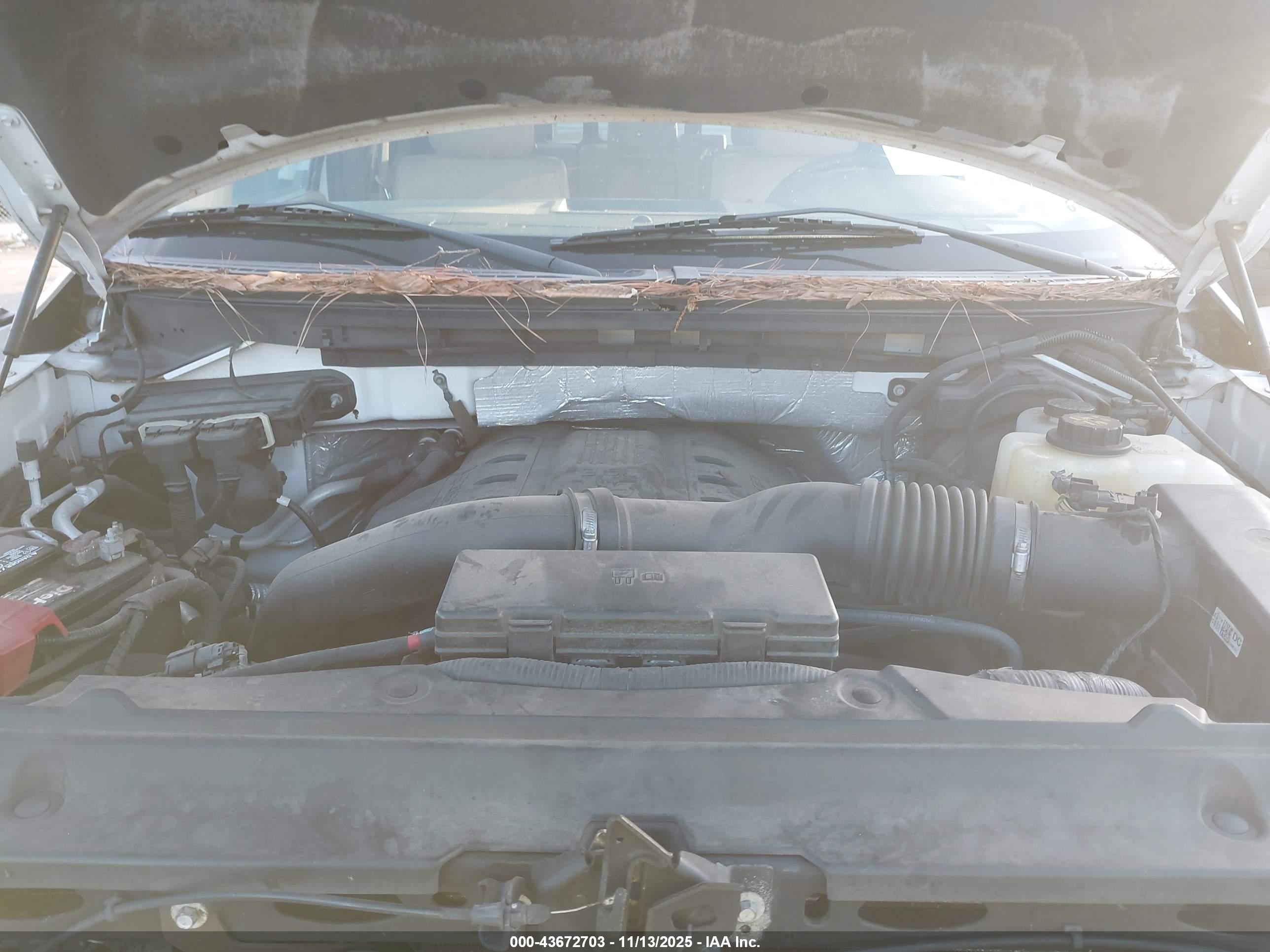 FORD F-150 image 10