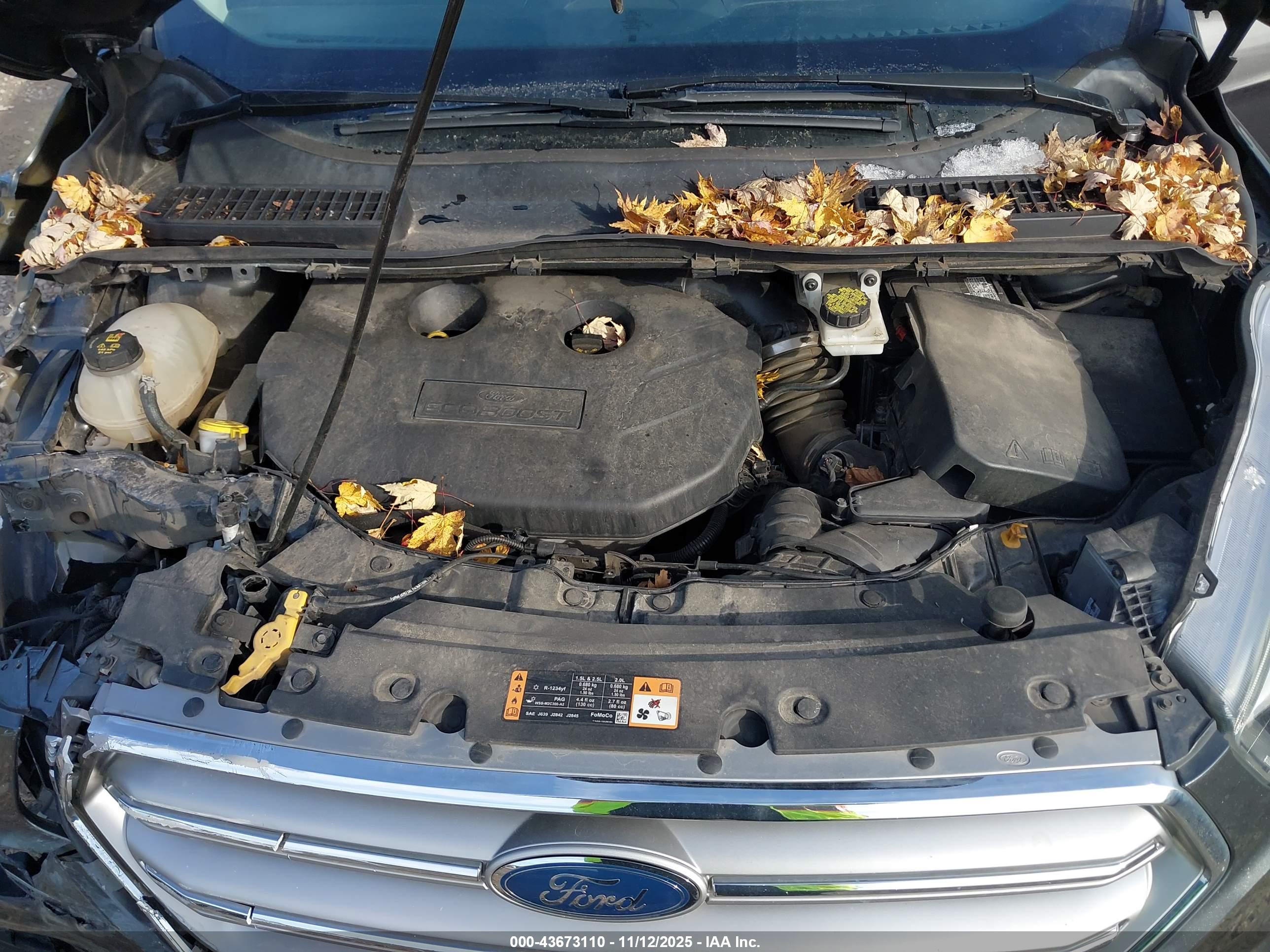 FORD ESCAPE image 10