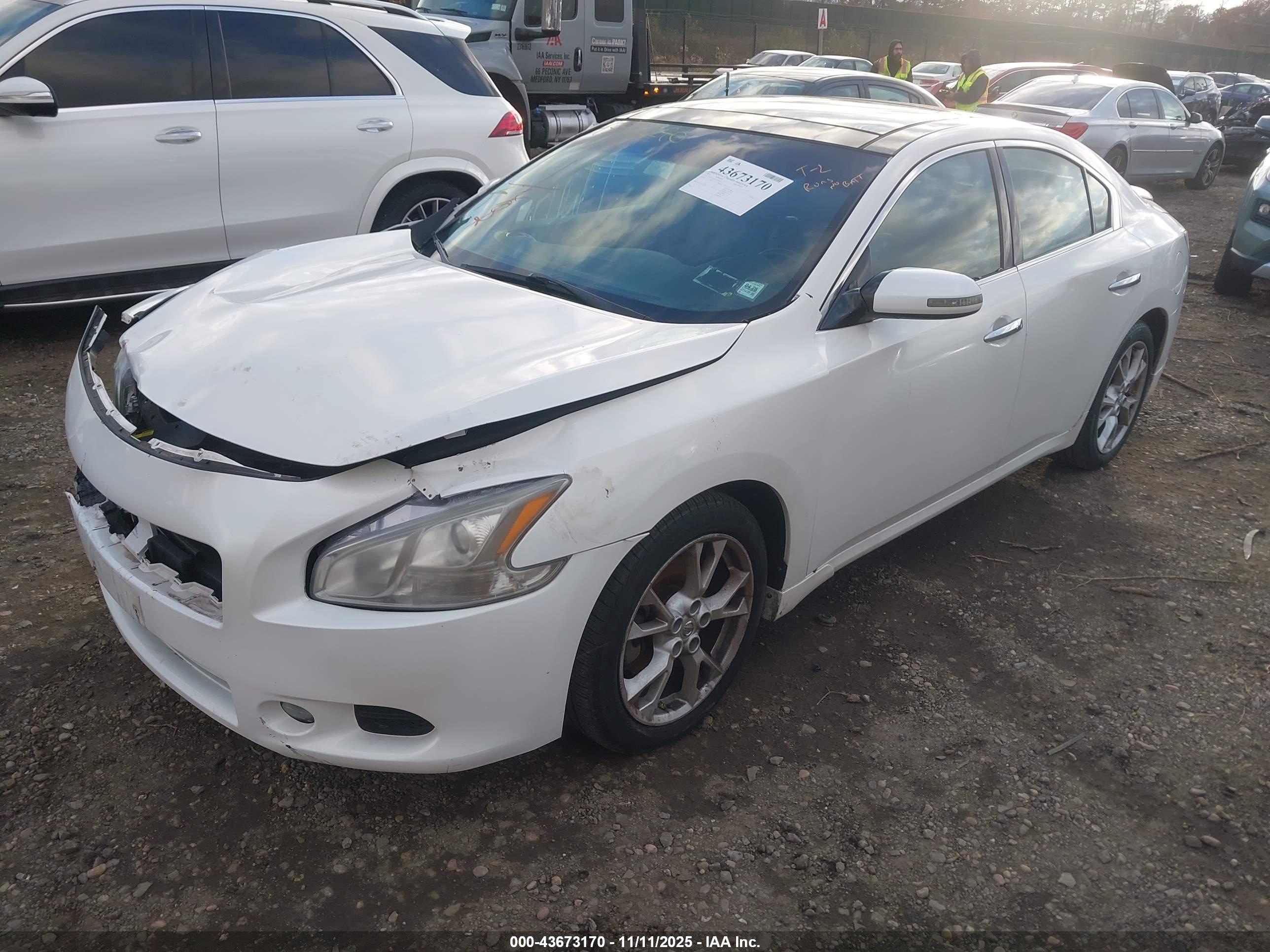 NISSAN MAXIMA image 2