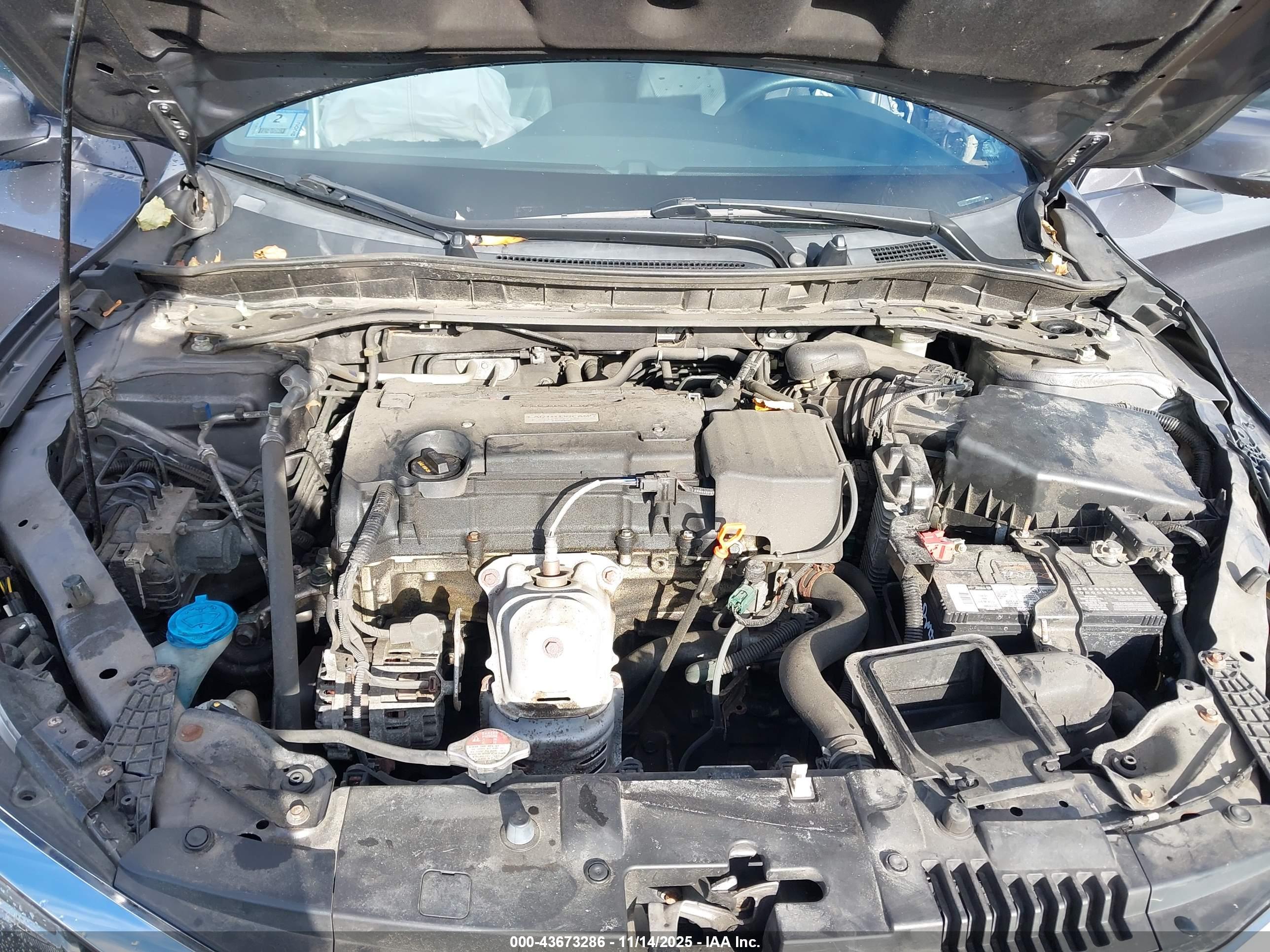 HONDA ACCORD image 10