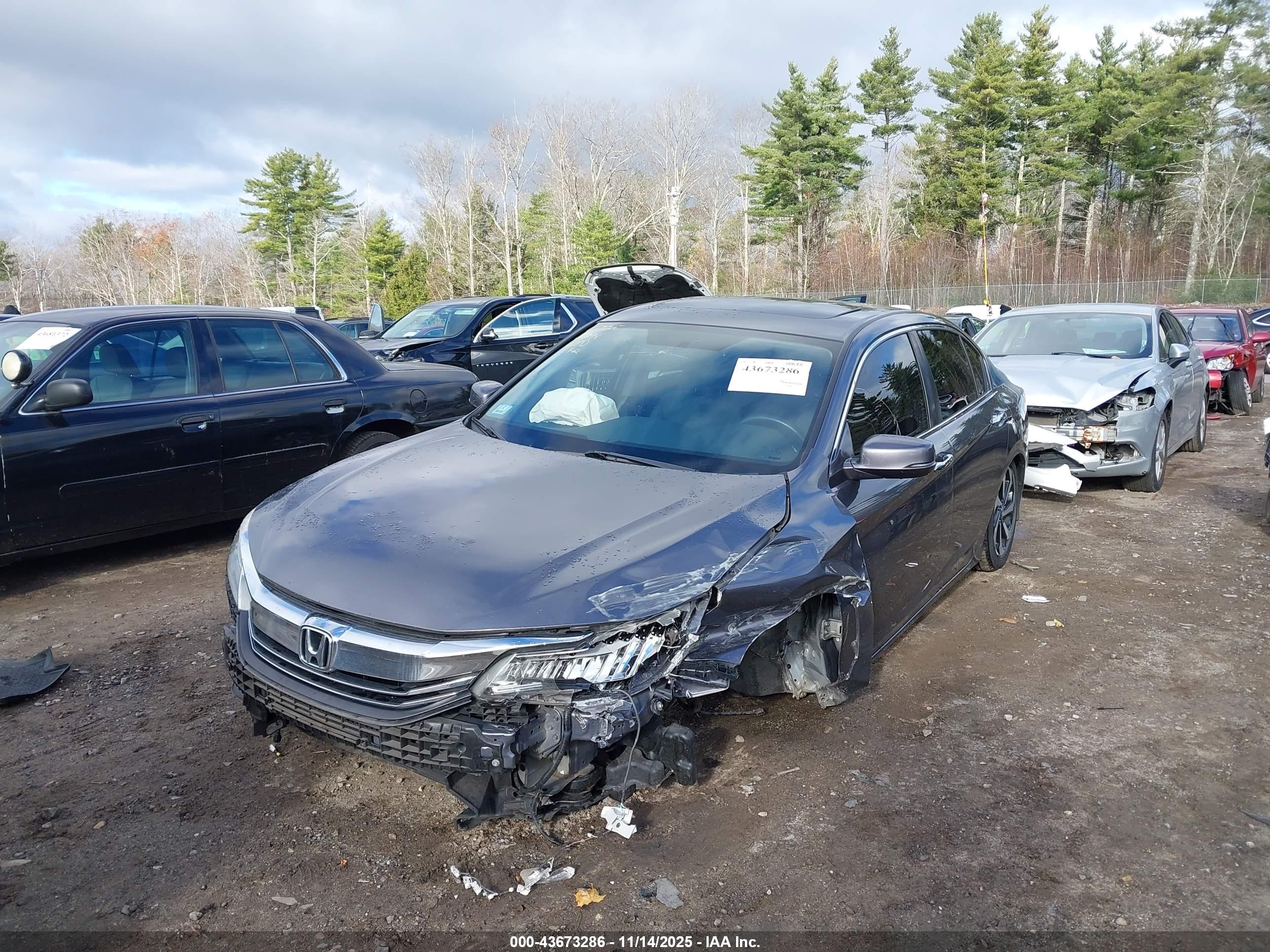 HONDA ACCORD image 2
