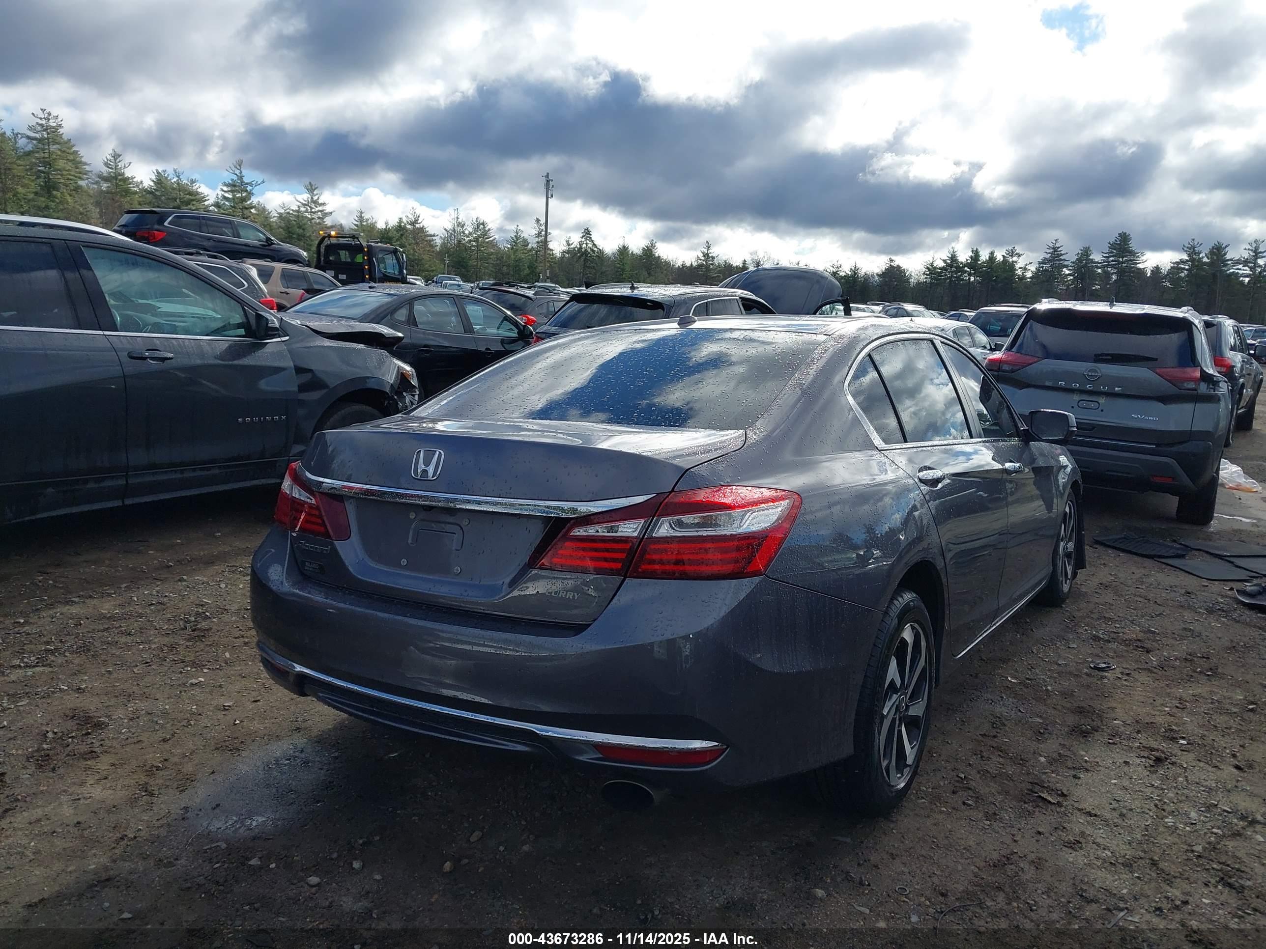 HONDA ACCORD image 4
