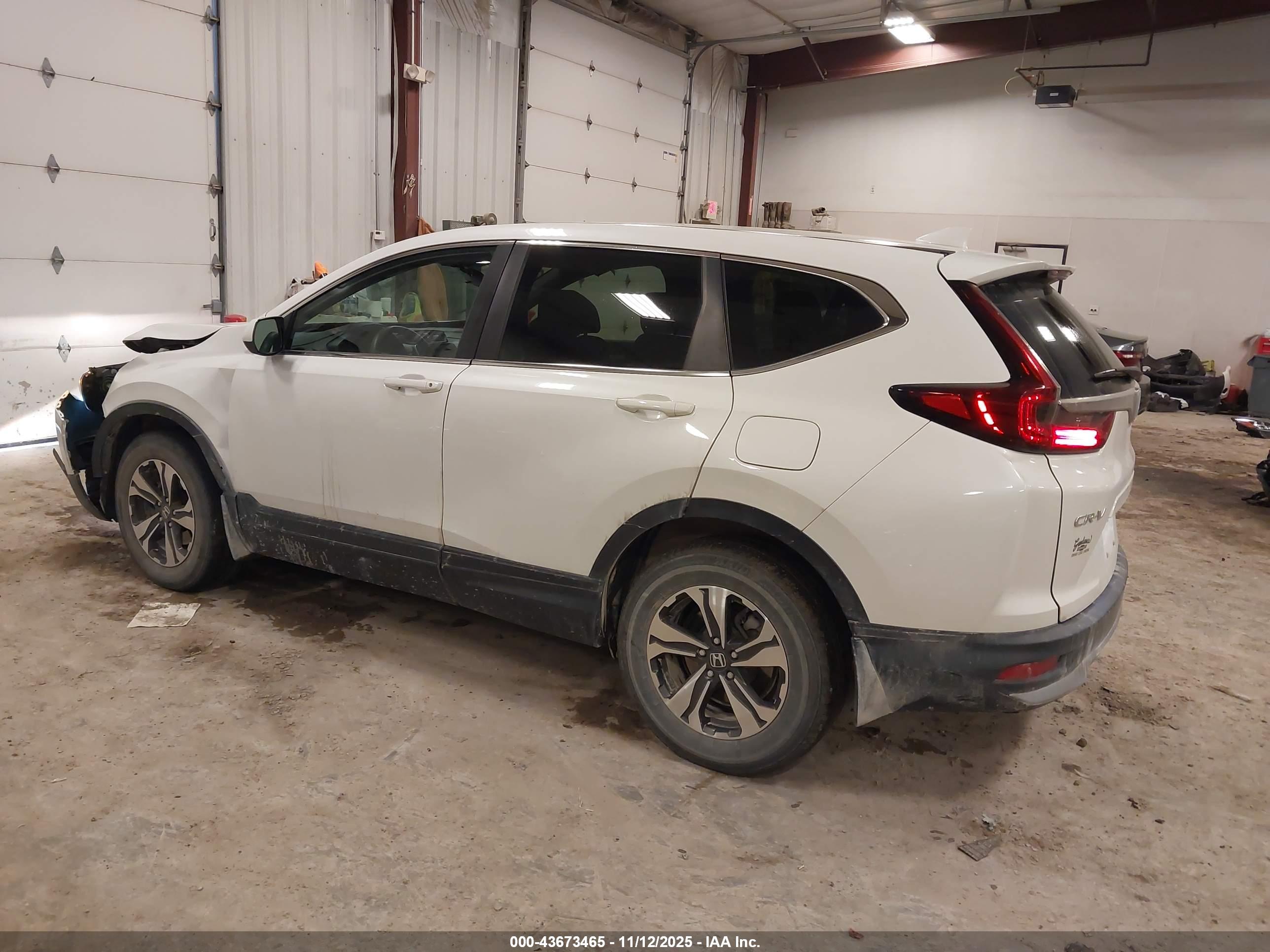 HONDA CR-V image 3