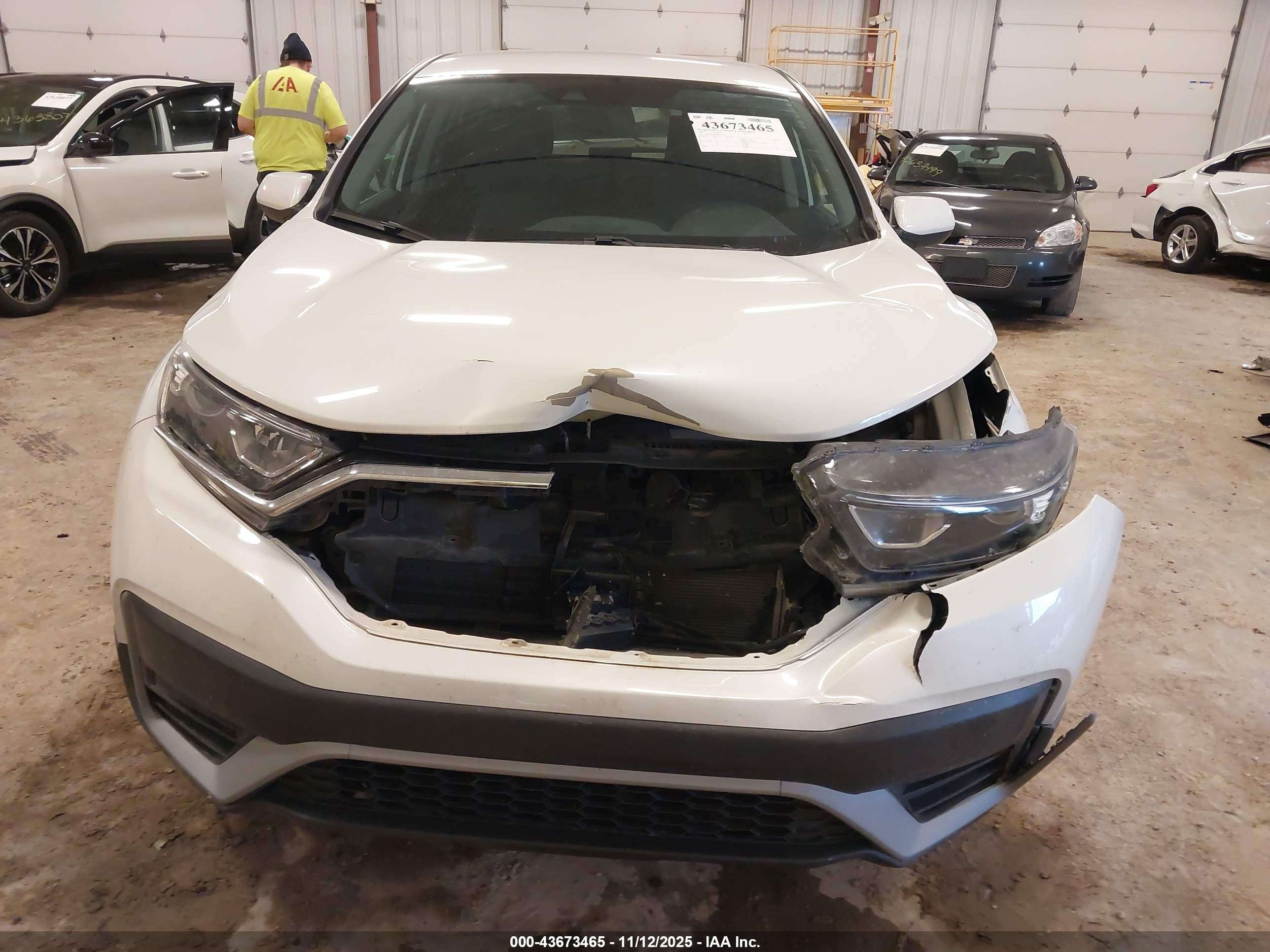 HONDA CR-V image 6