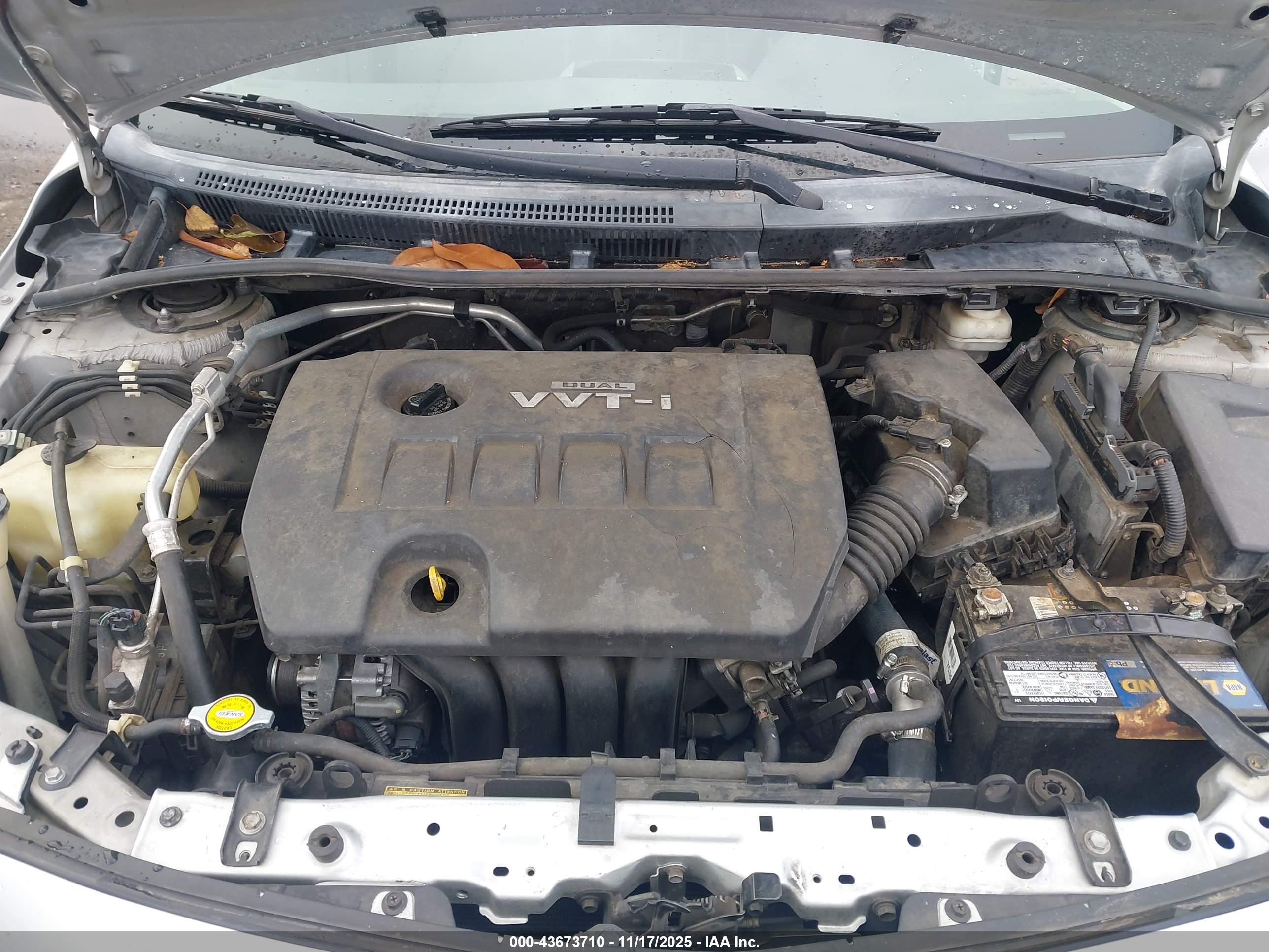 TOYOTA COROLLA image 10