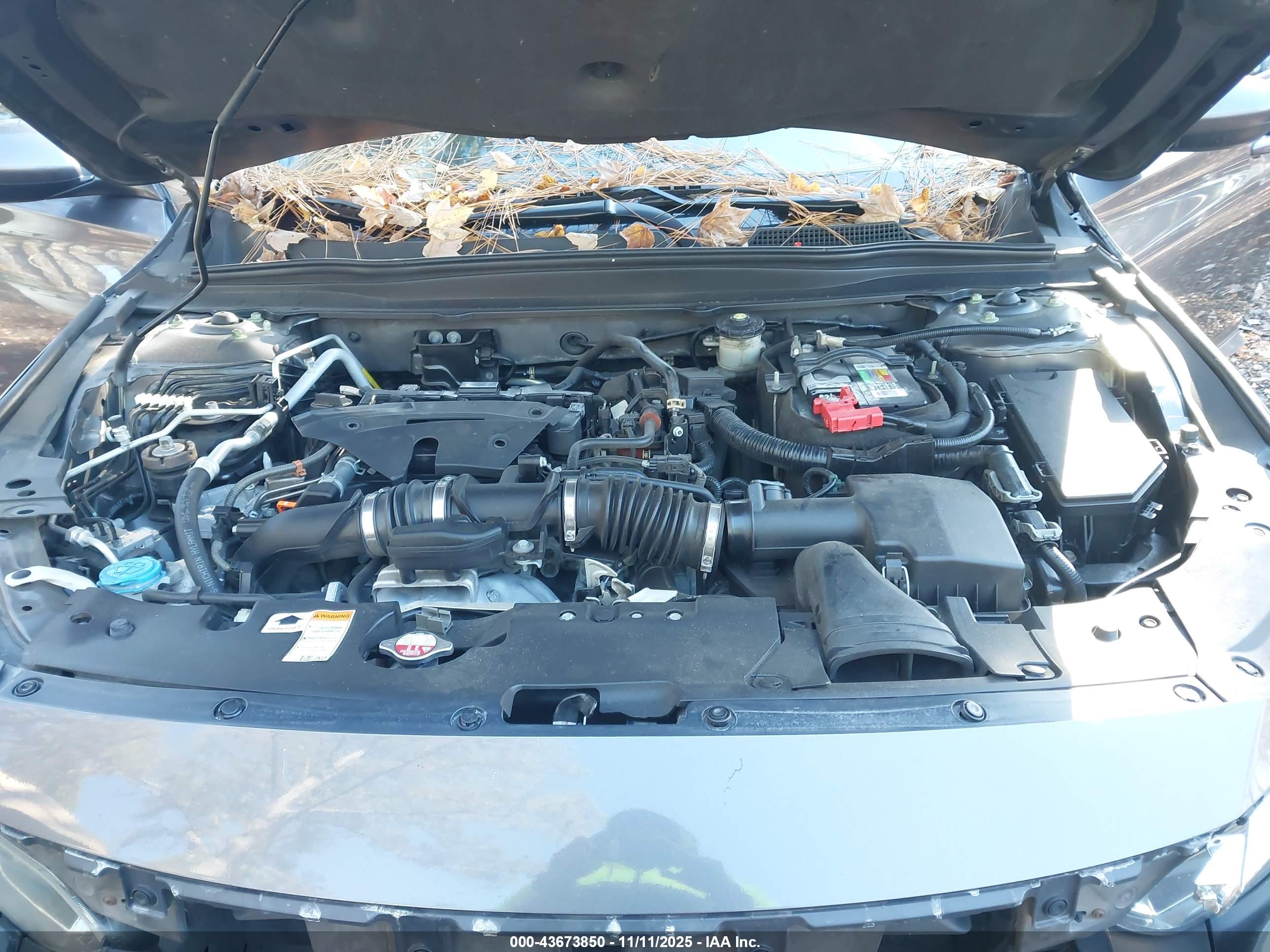 HONDA ACCORD image 10