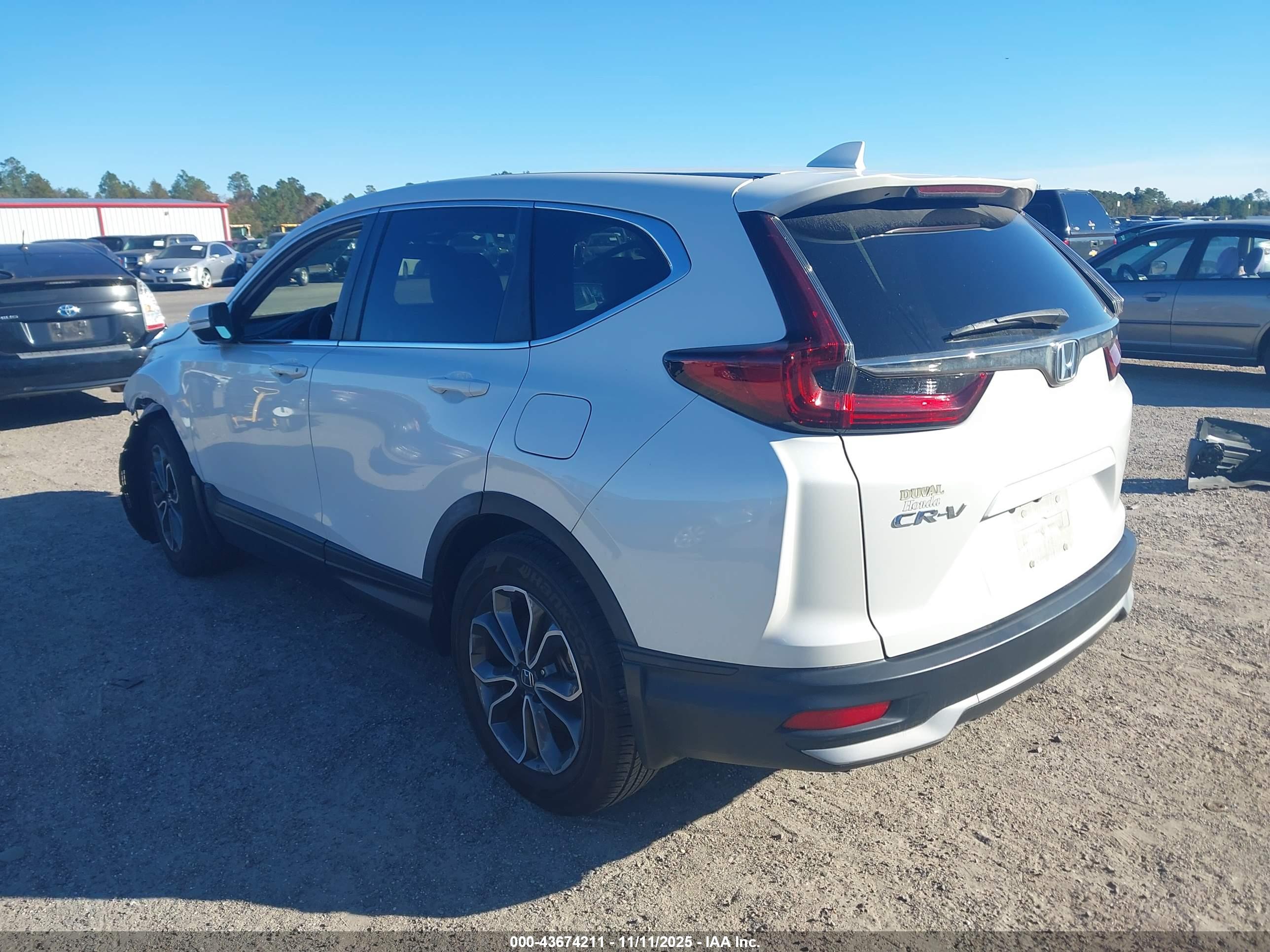 HONDA CR-V image 3