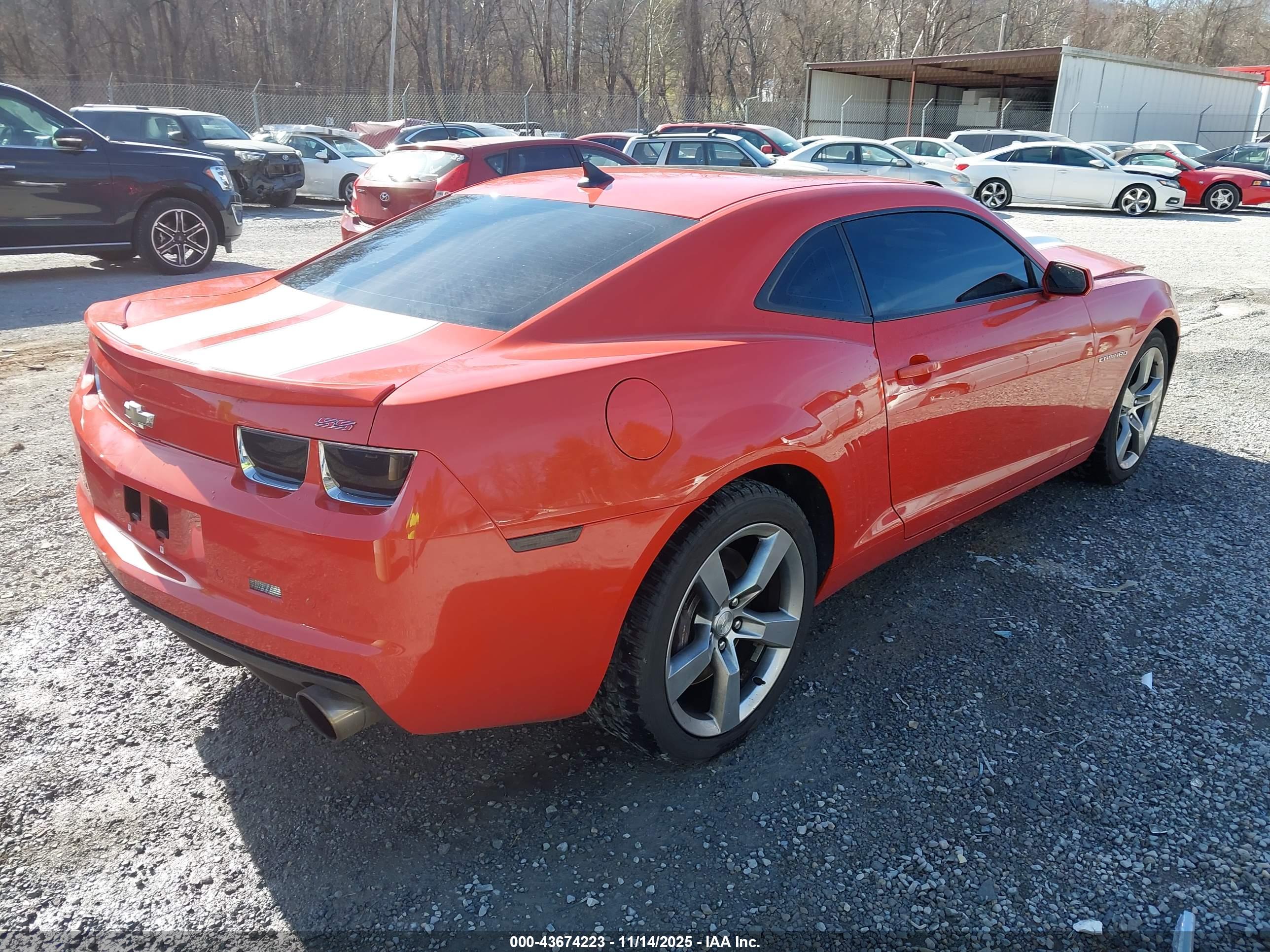 CHEVROLET CAMARO image 4