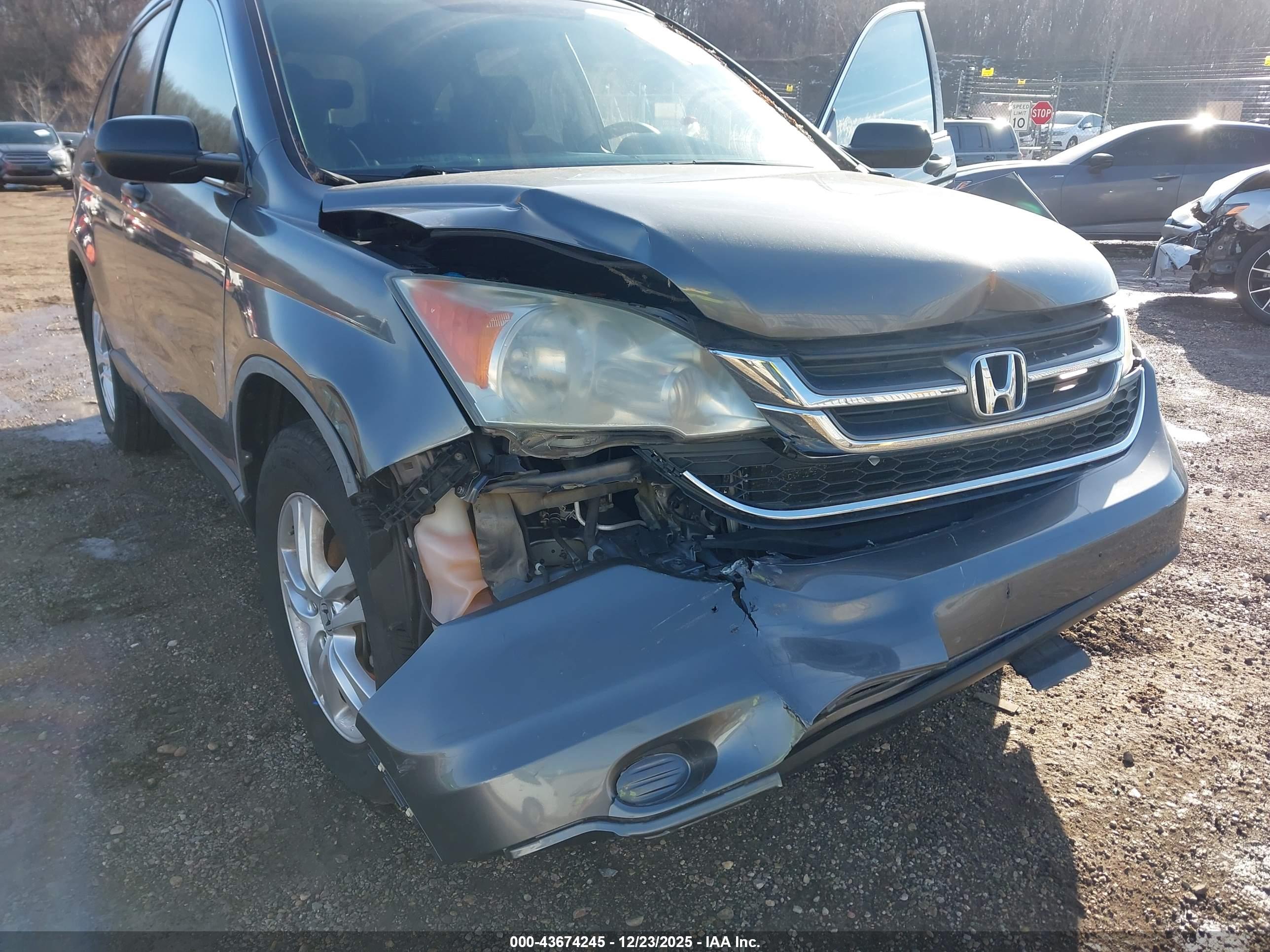 HONDA CR-V image 6