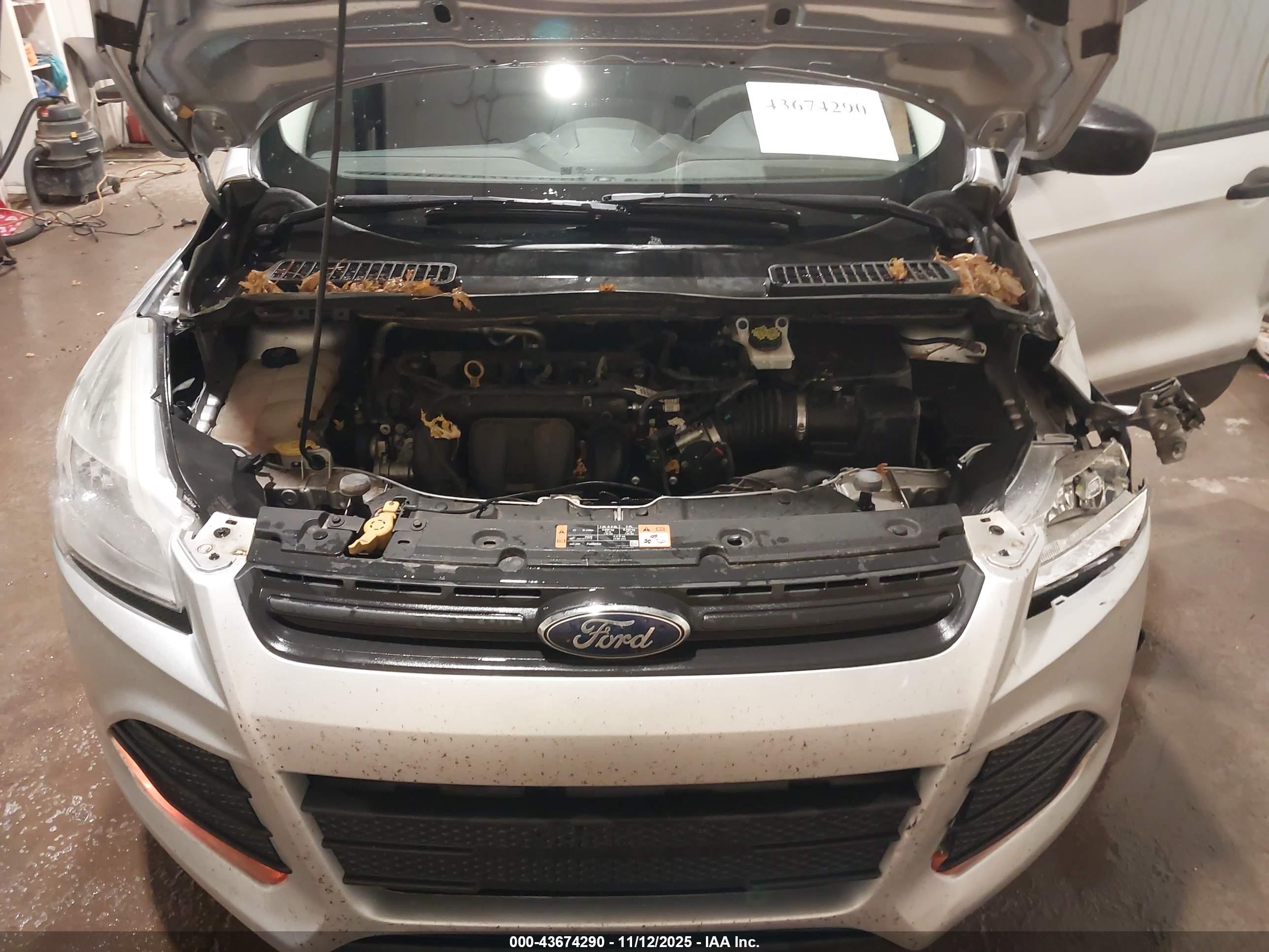 FORD ESCAPE image 10