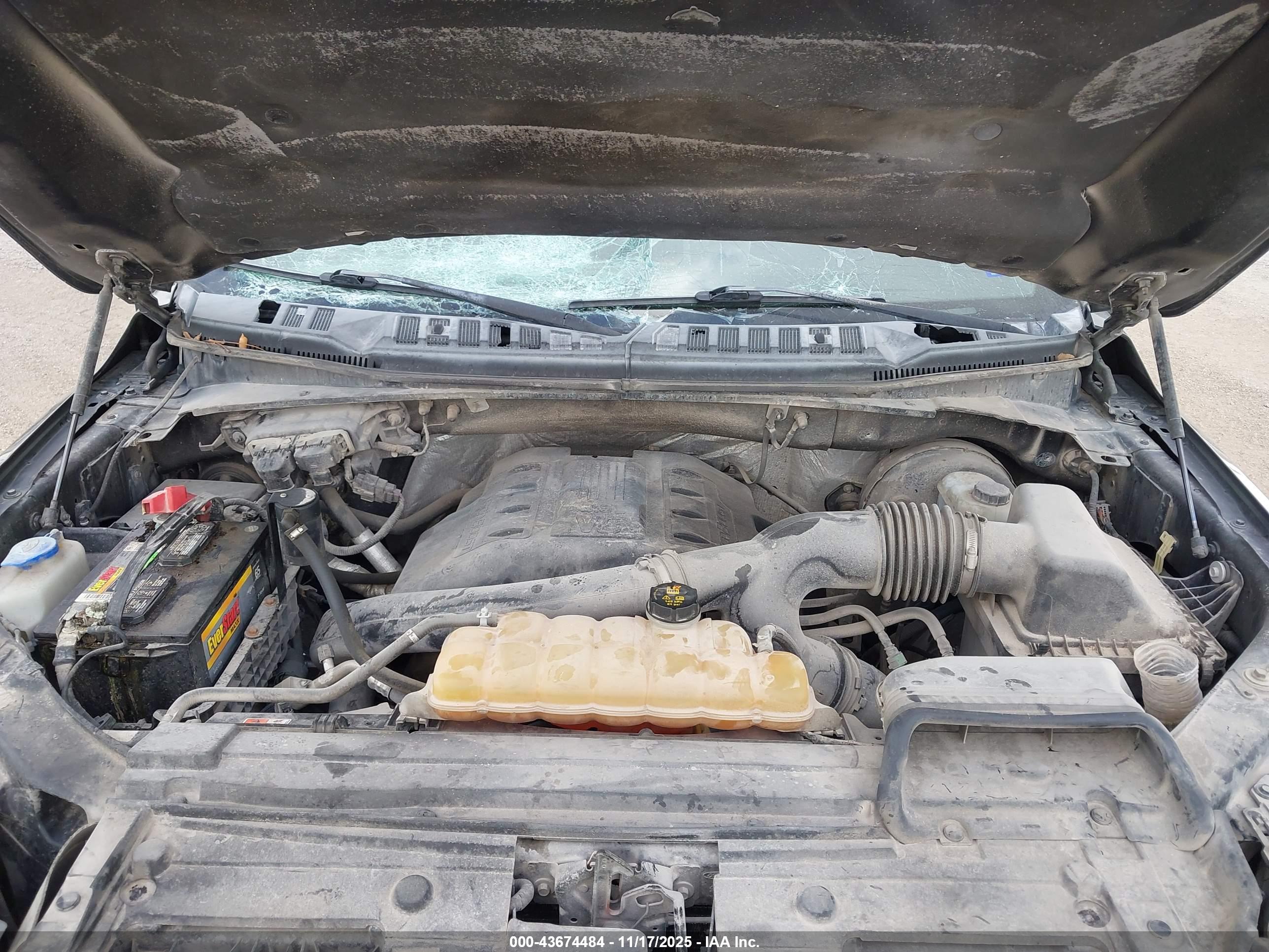 FORD F-150 image 10