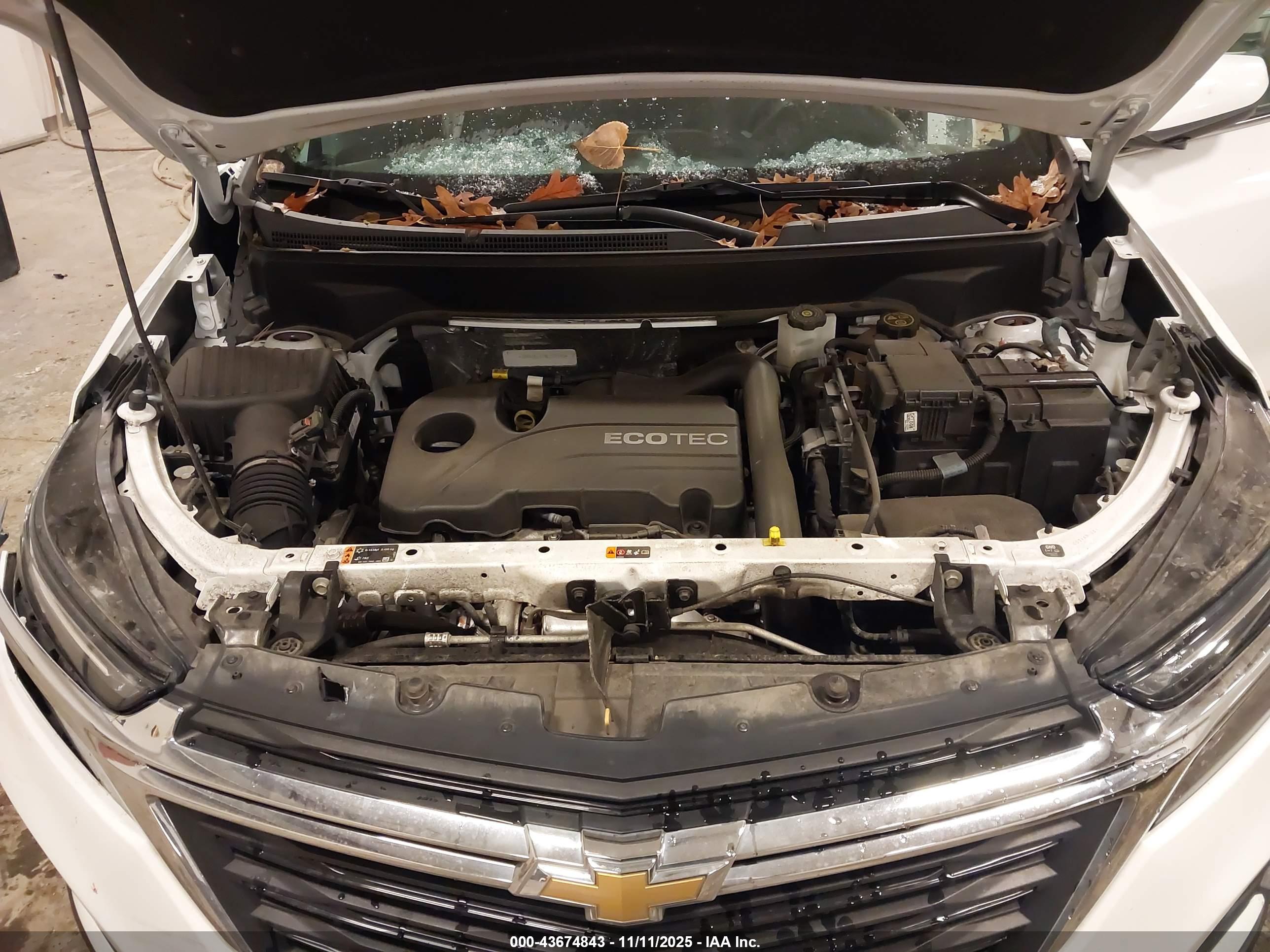CHEVROLET EQUINOX image 10
