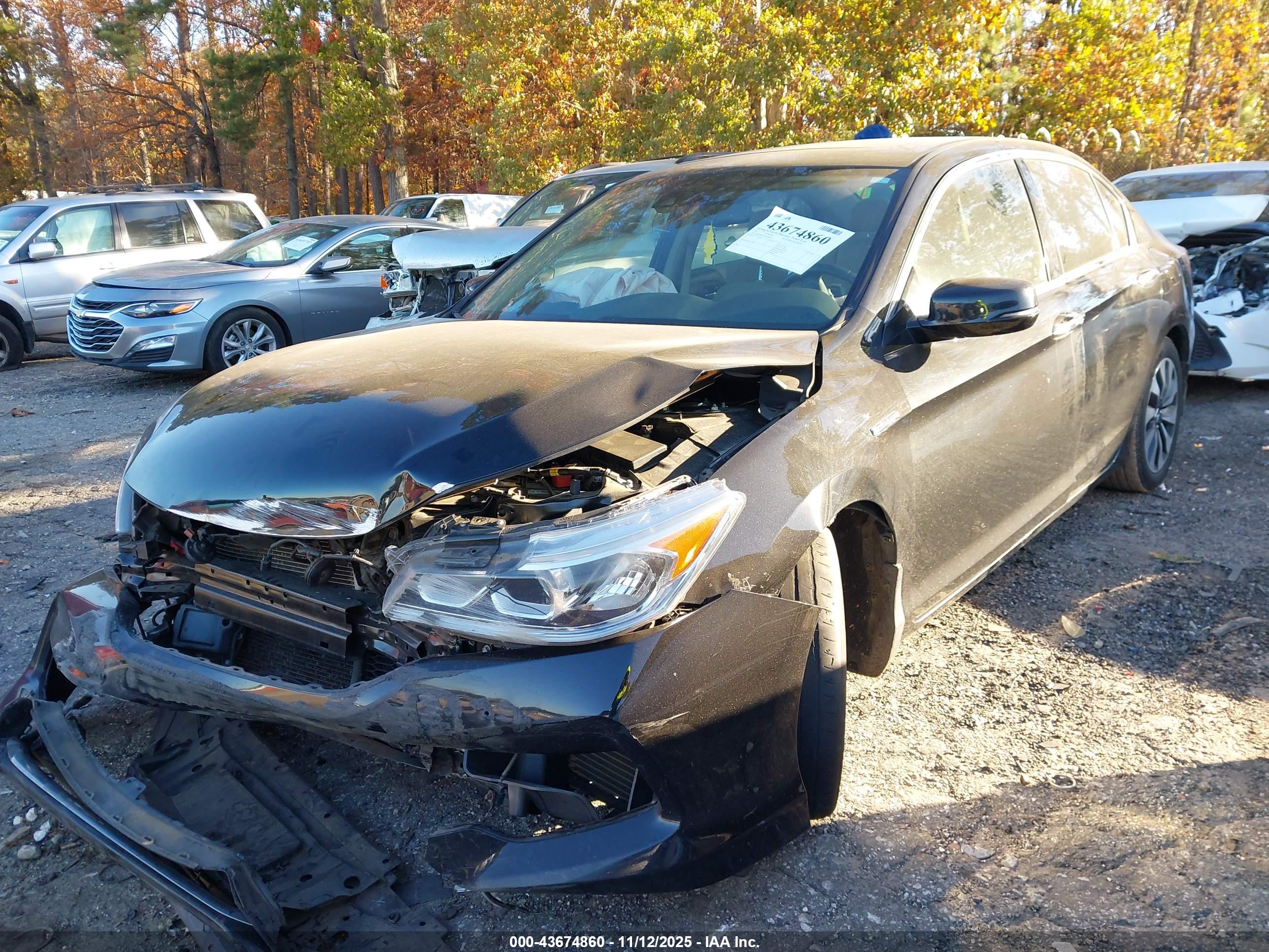 HONDA ACCORD image 2