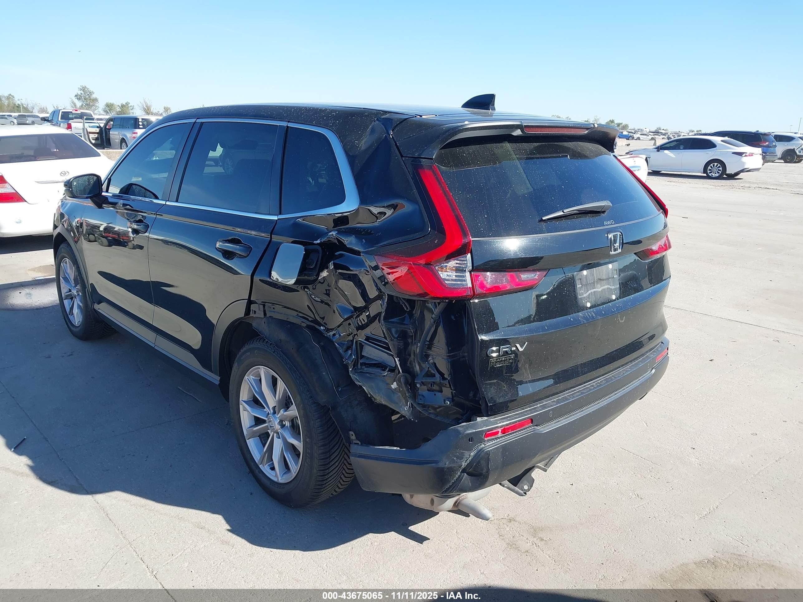 HONDA CR-V image 3