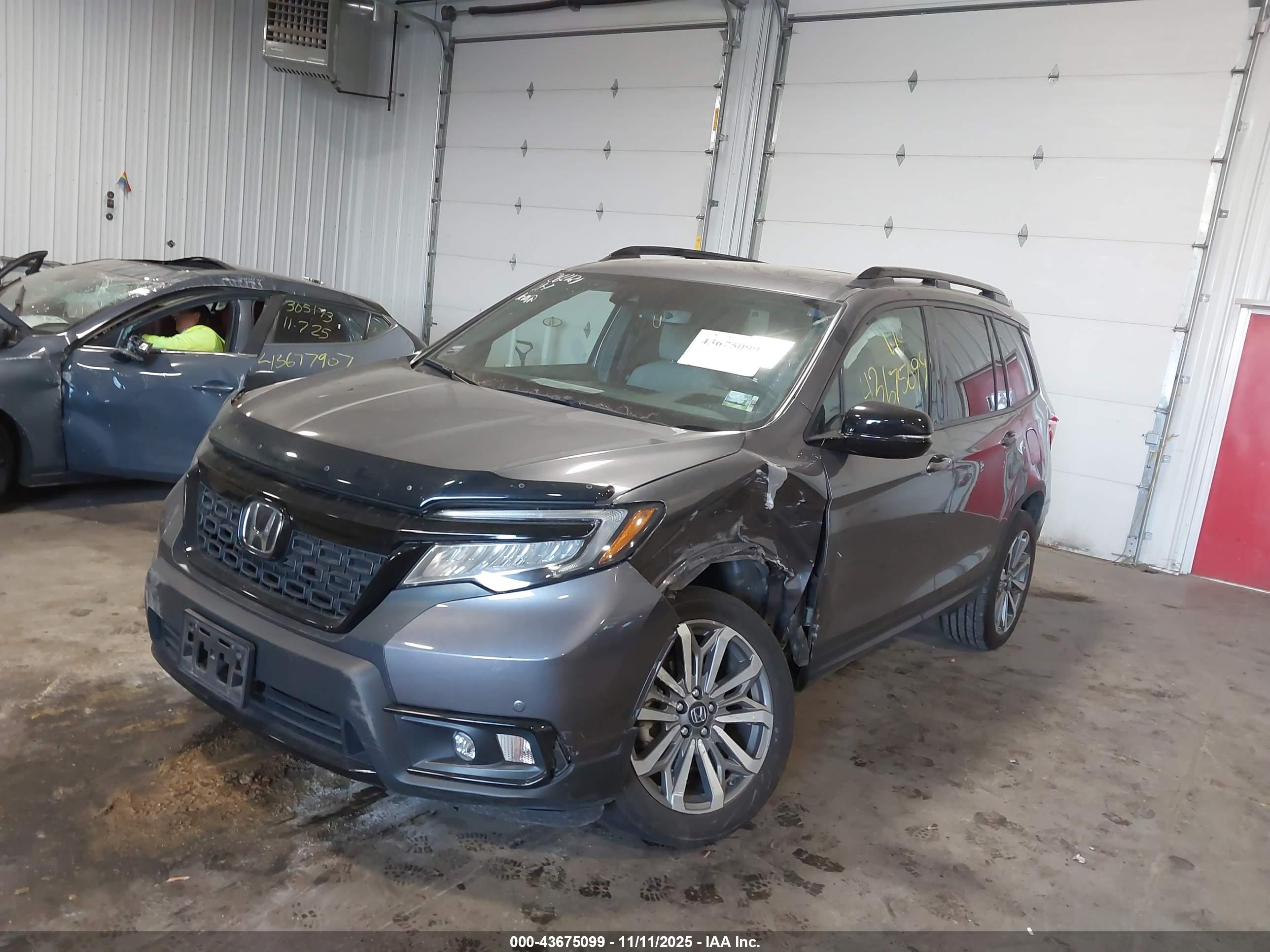 HONDA PASSPORT image 6