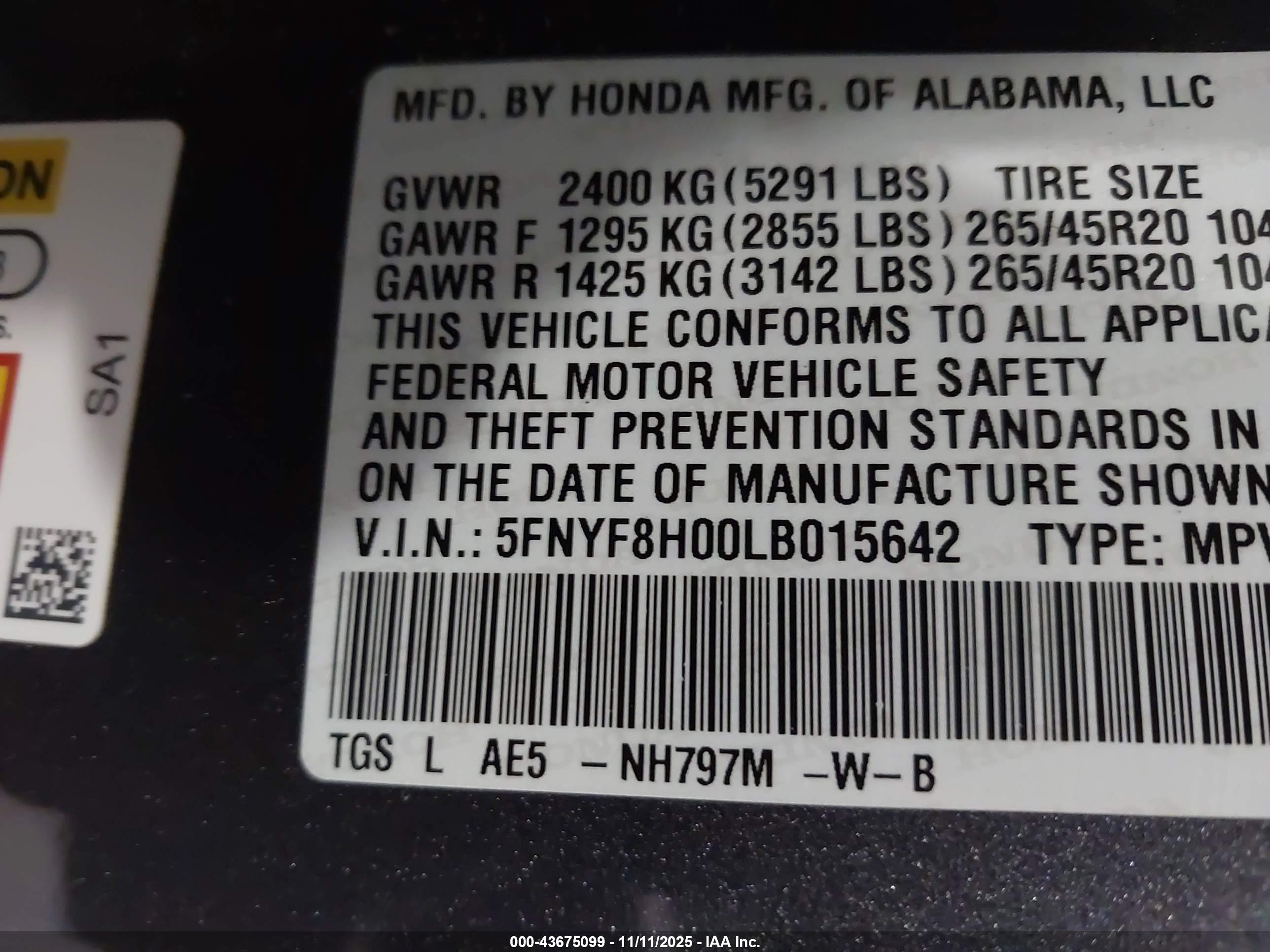 HONDA PASSPORT image 9