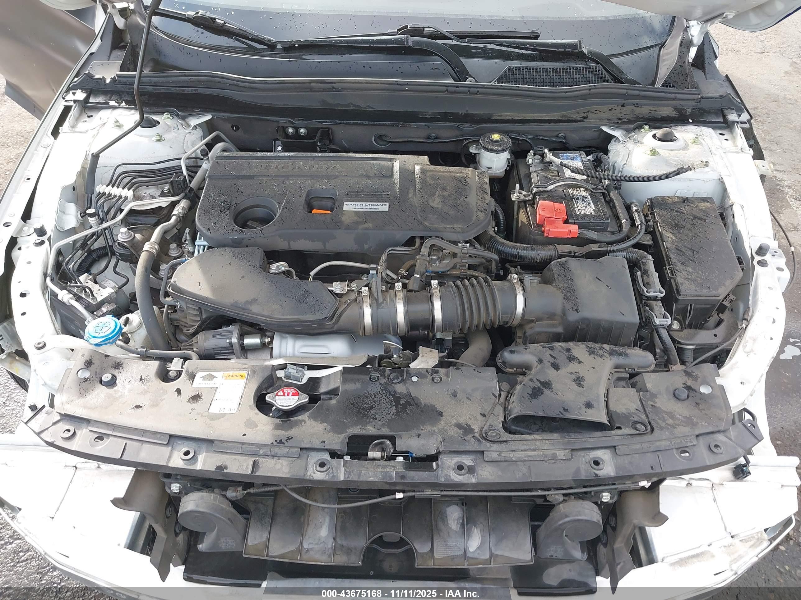 HONDA ACCORD image 10