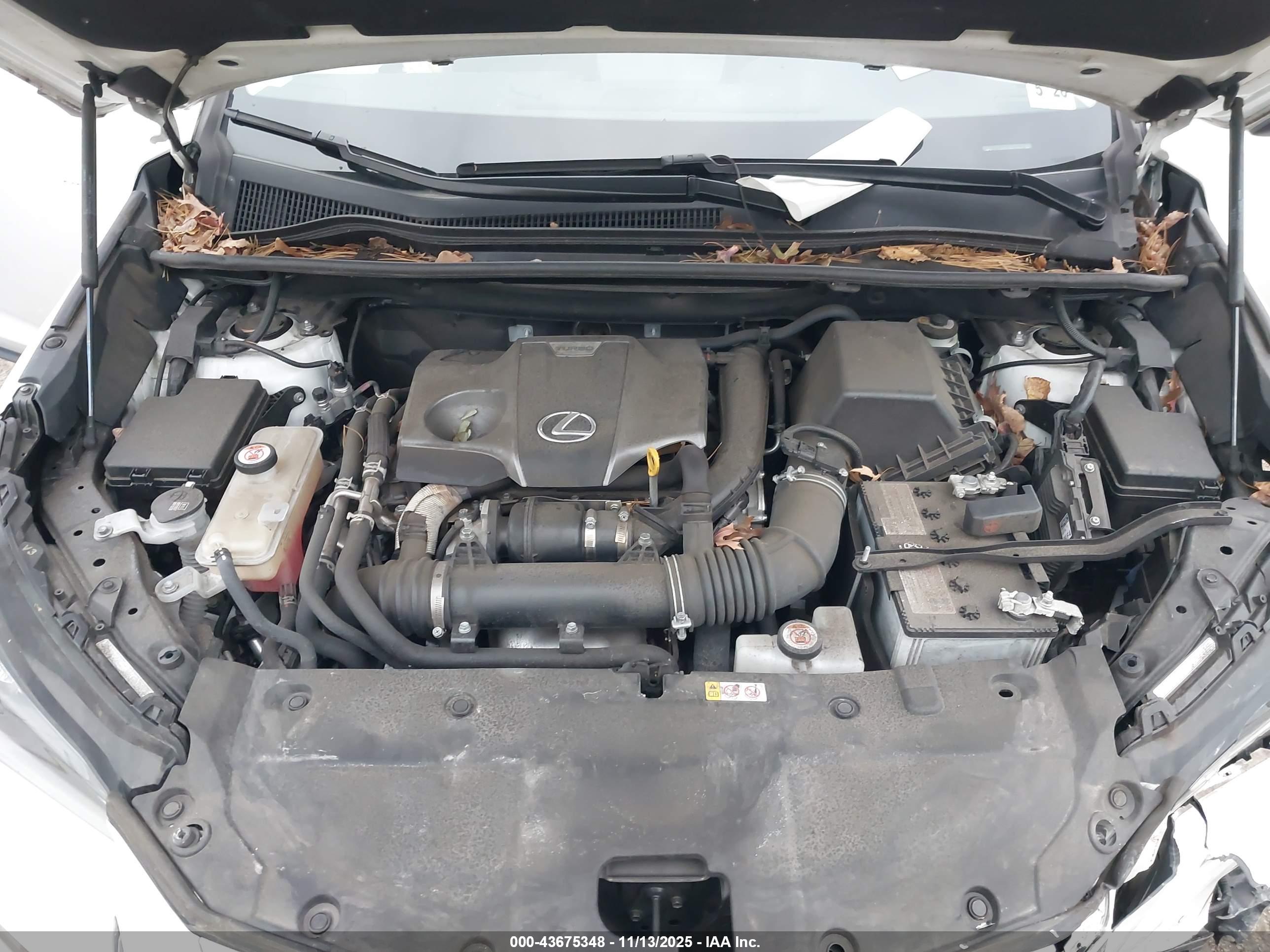 LEXUS NX image 10