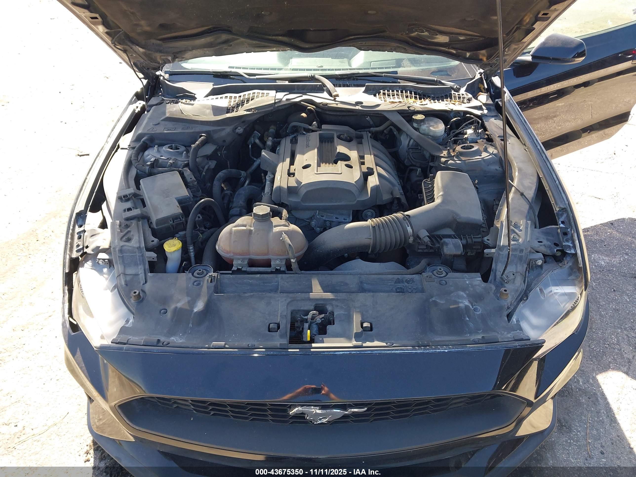 FORD MUSTANG image 10