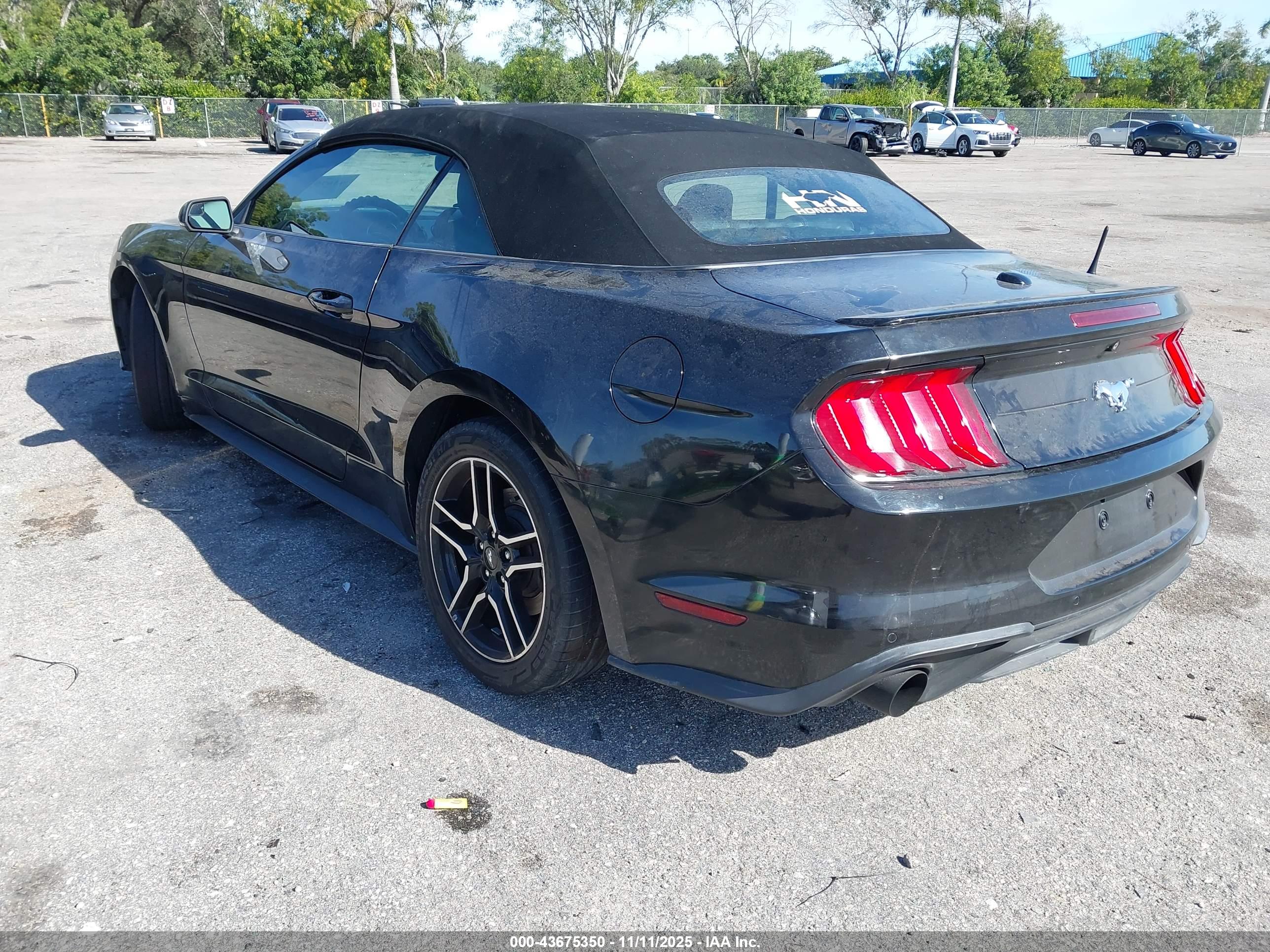 FORD MUSTANG image 3