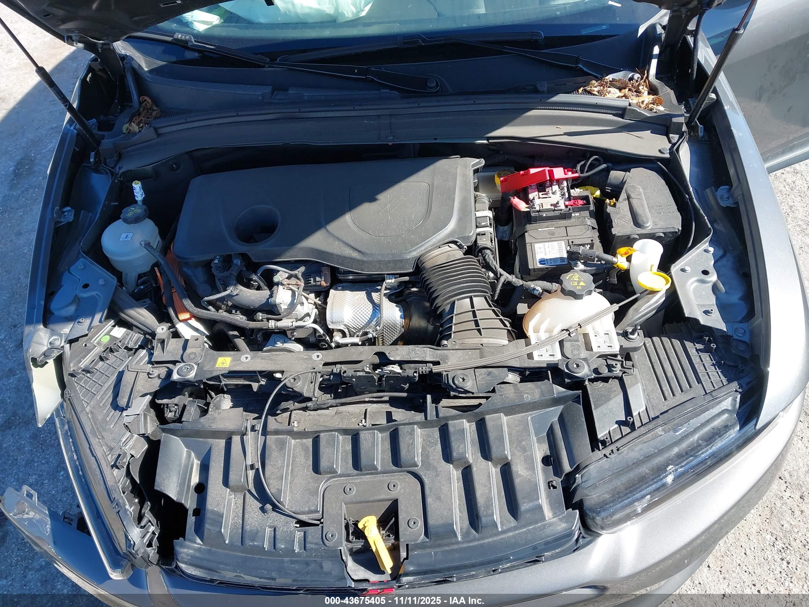 DODGE HORNET image 10