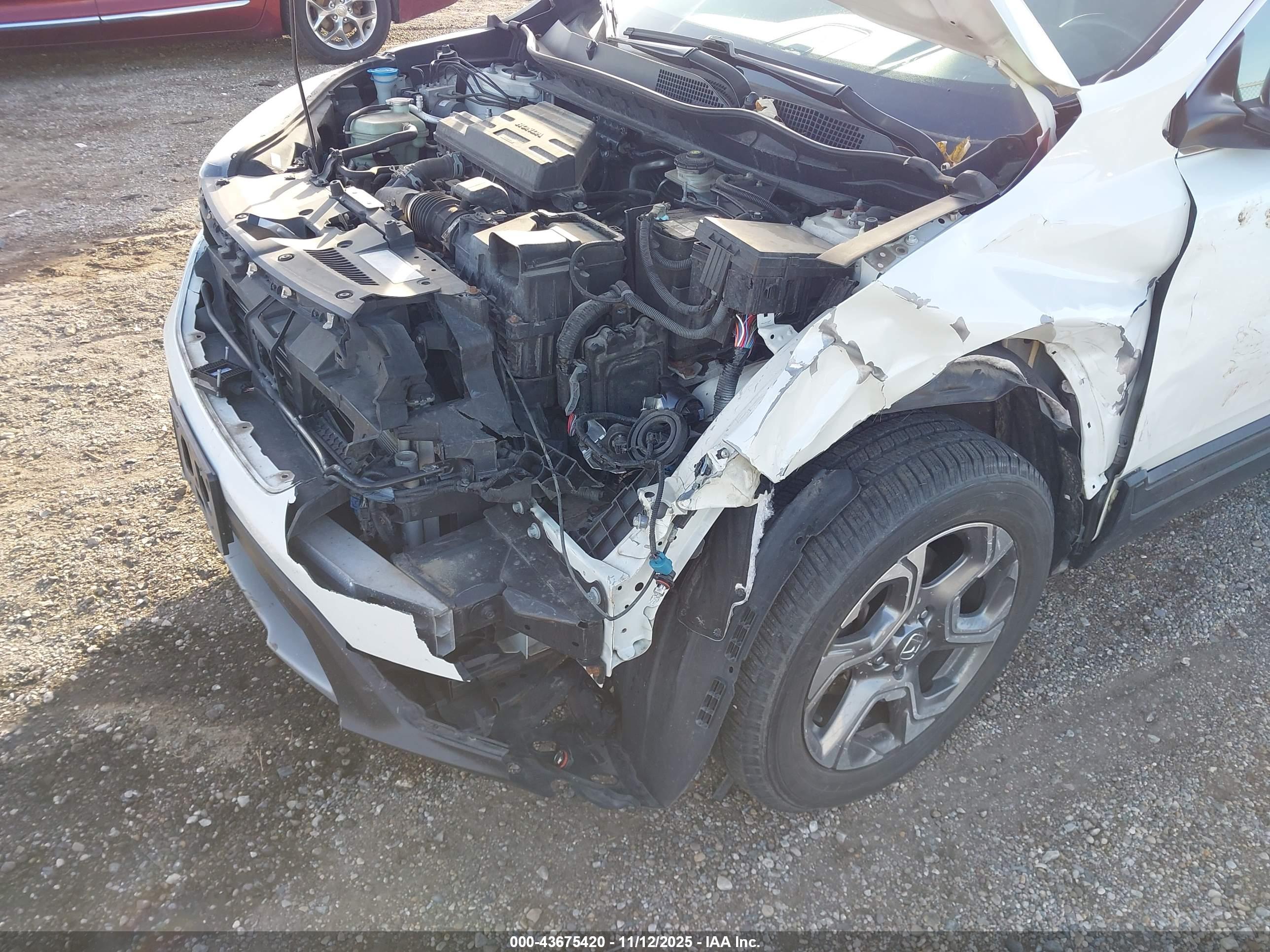 HONDA CR-V image 6