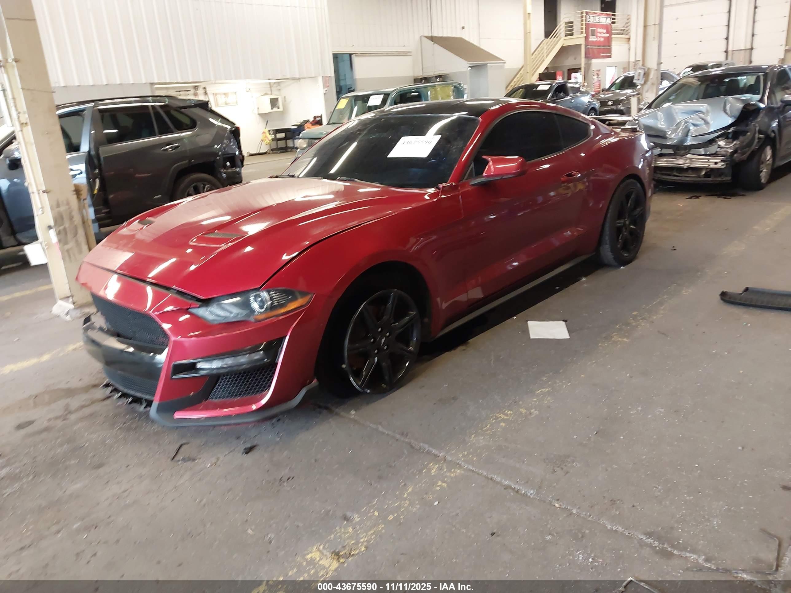 FORD MUSTANG image 2