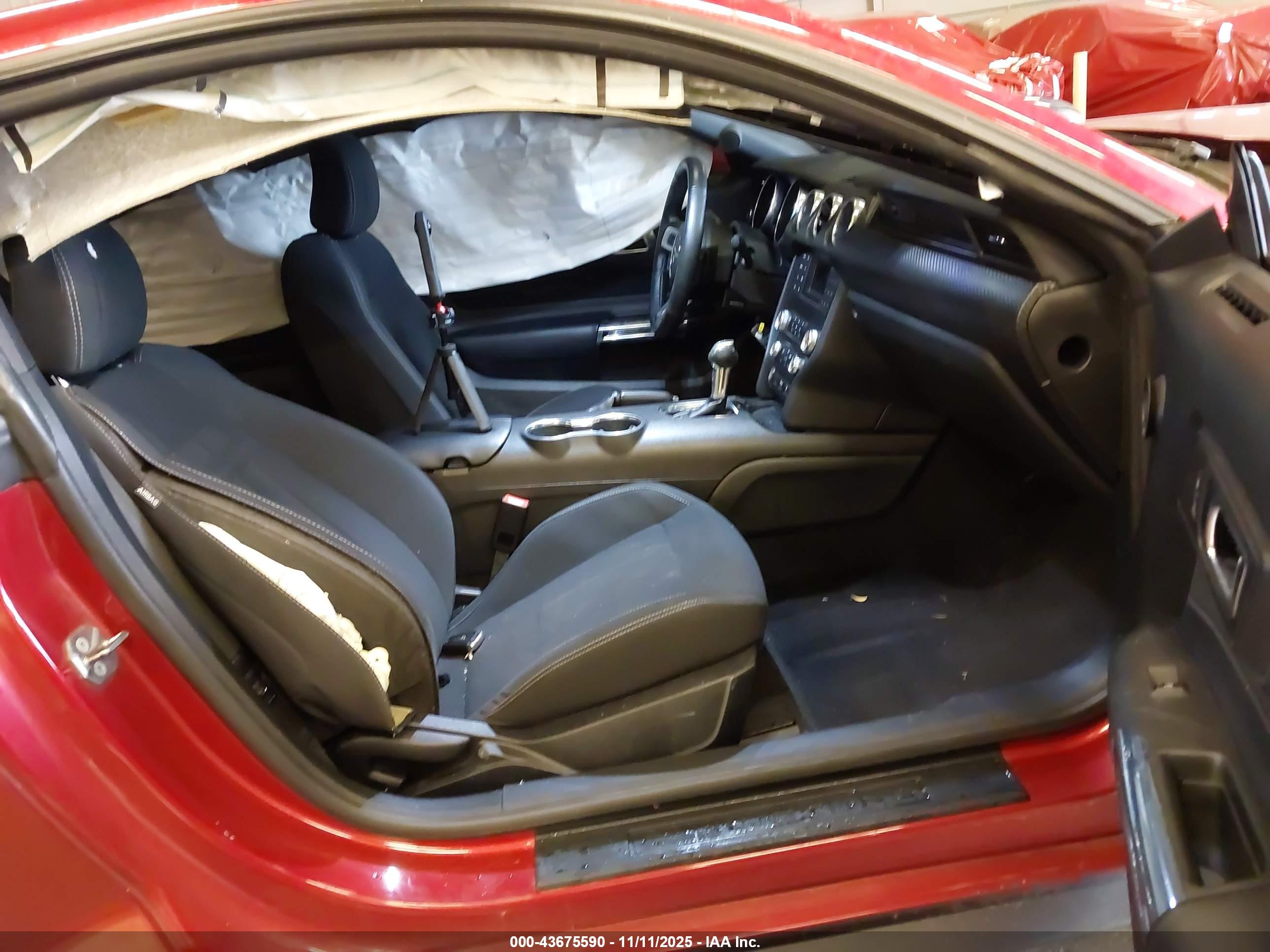 FORD MUSTANG image 5