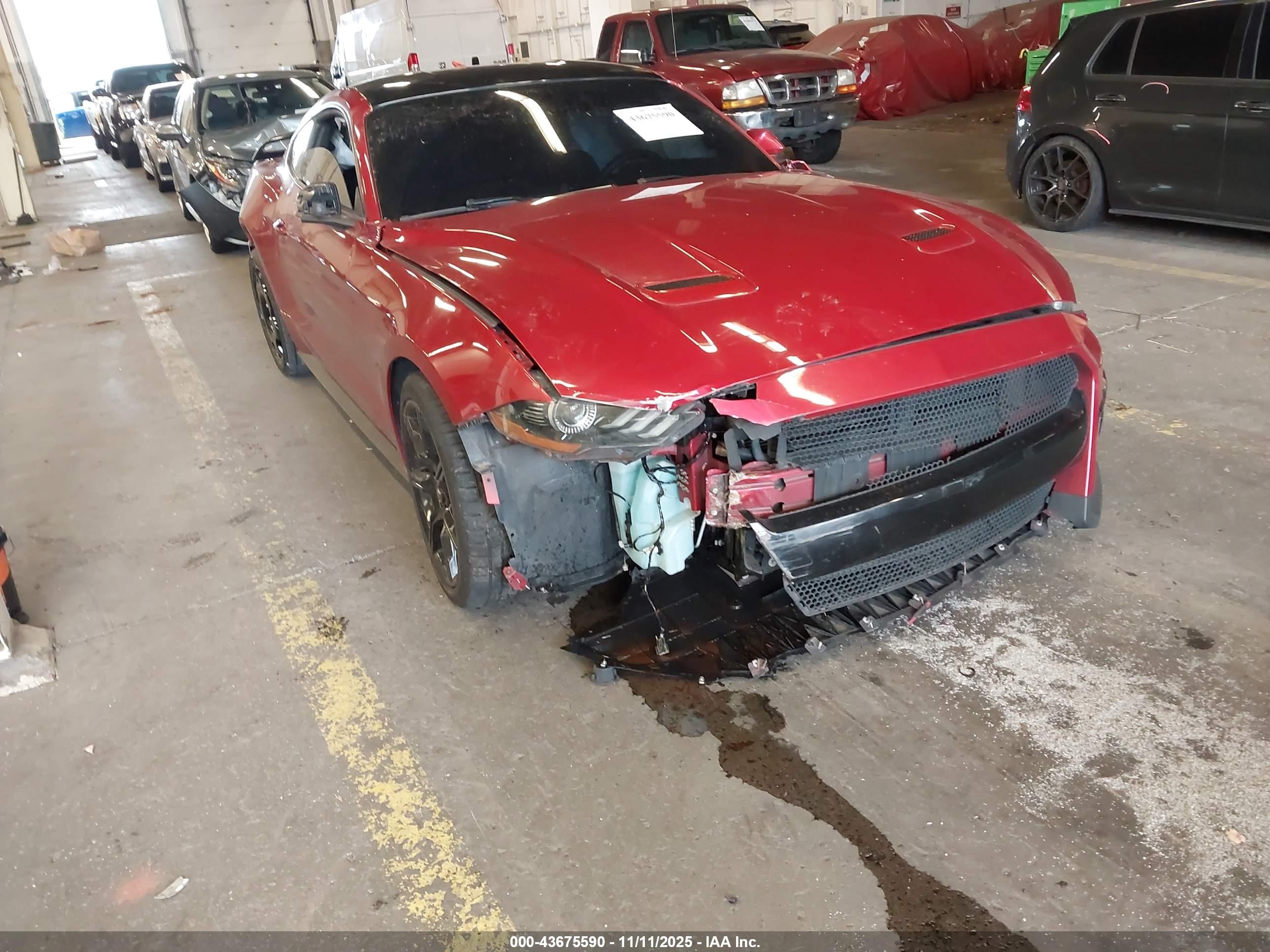 FORD MUSTANG image 6