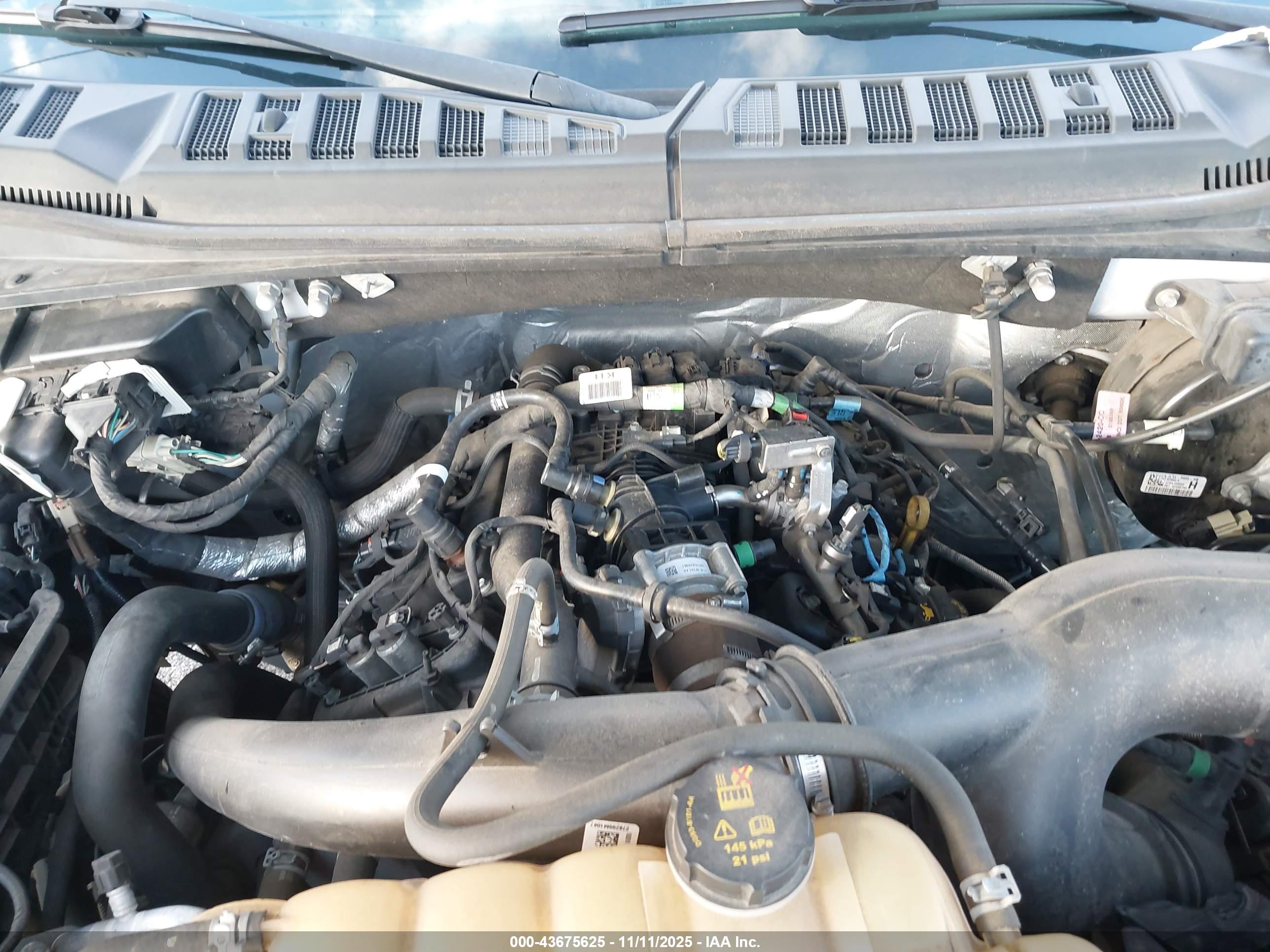 FORD F-150 image 10