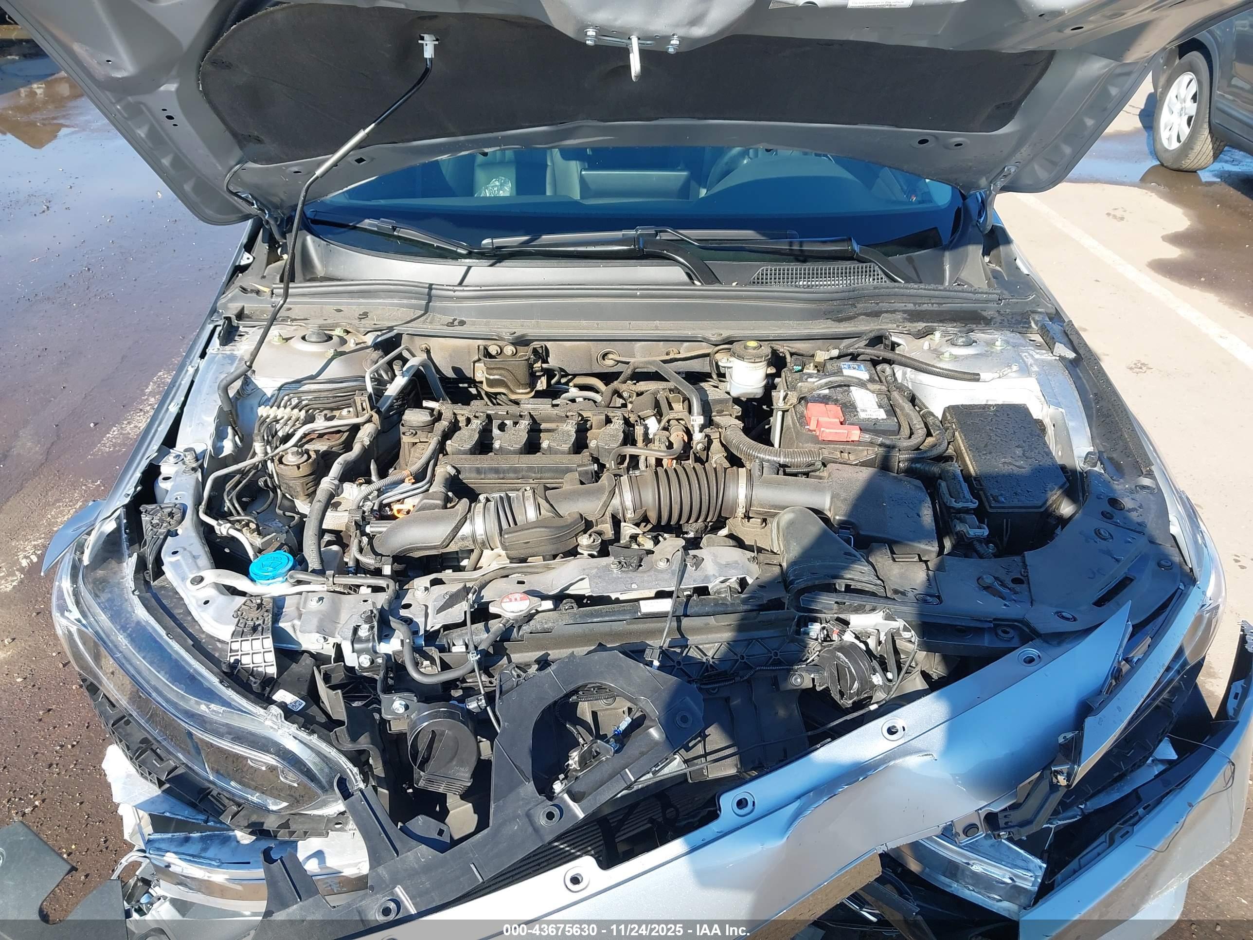 HONDA ACCORD image 10