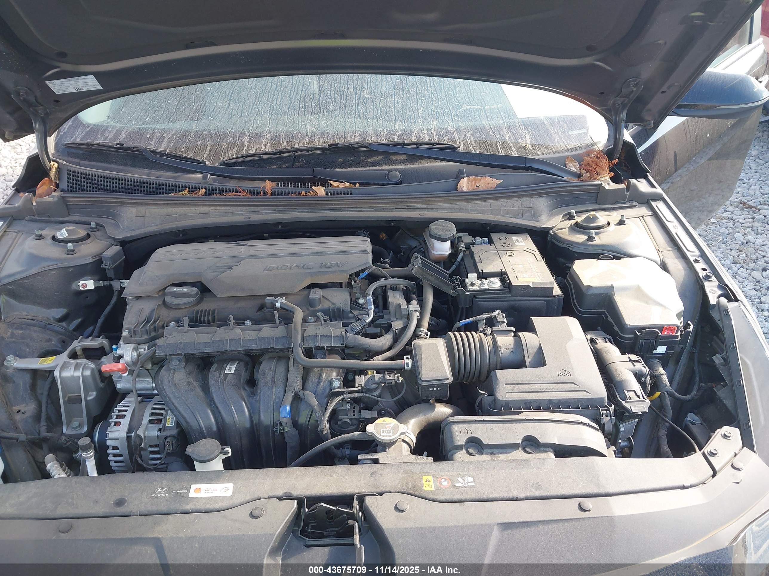 HYUNDAI ELANTRA image 10