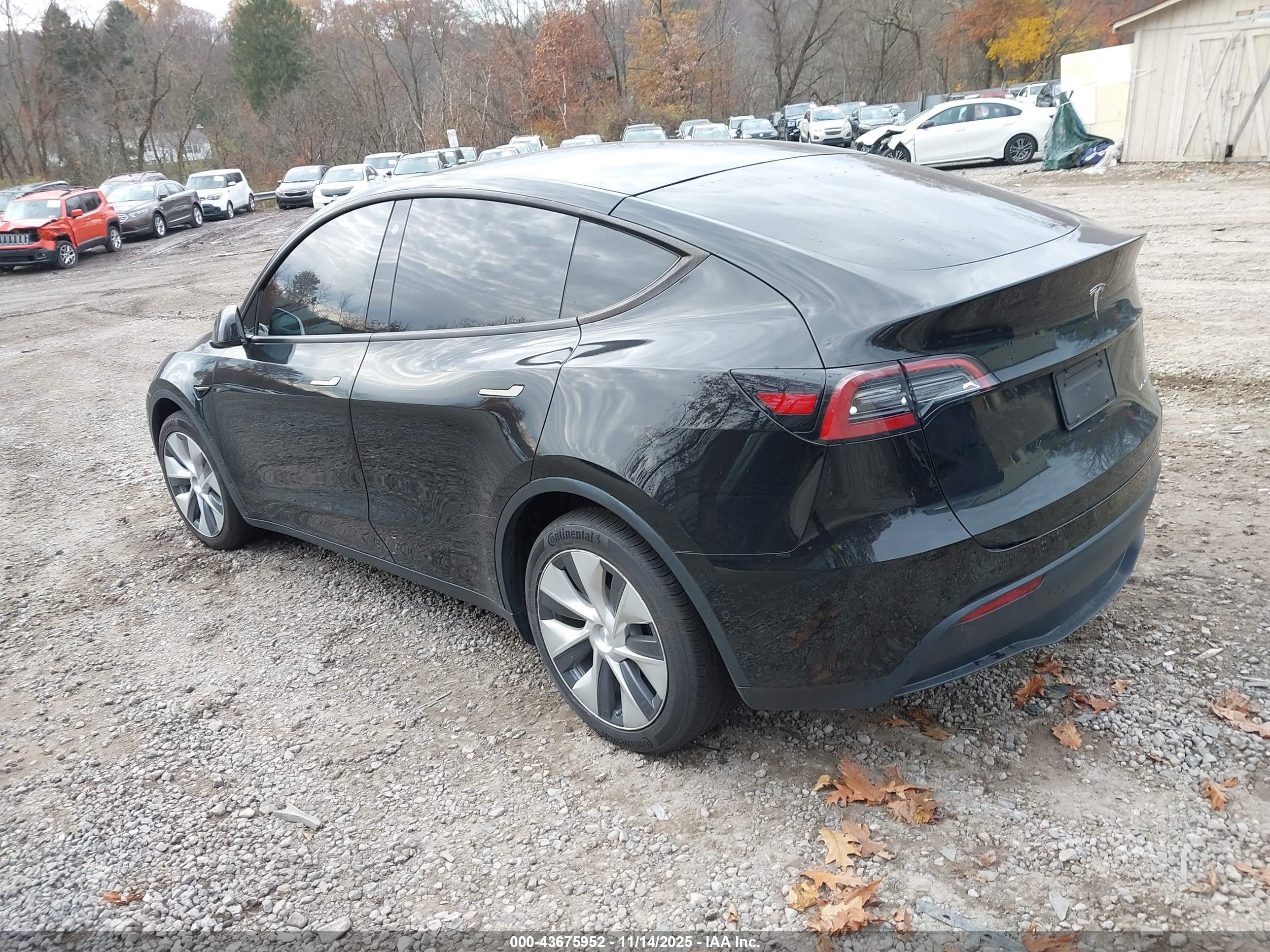 TESLA MODEL image 3