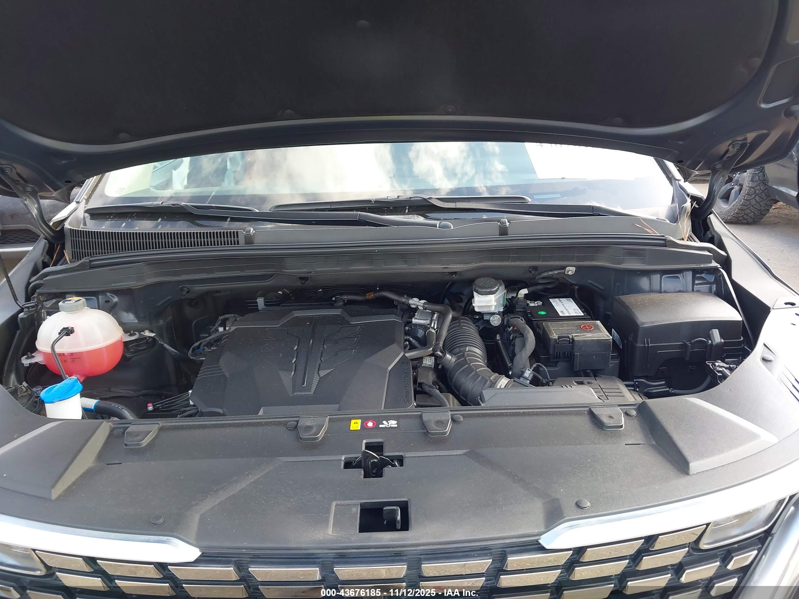 KIA CARNIVAL image 10