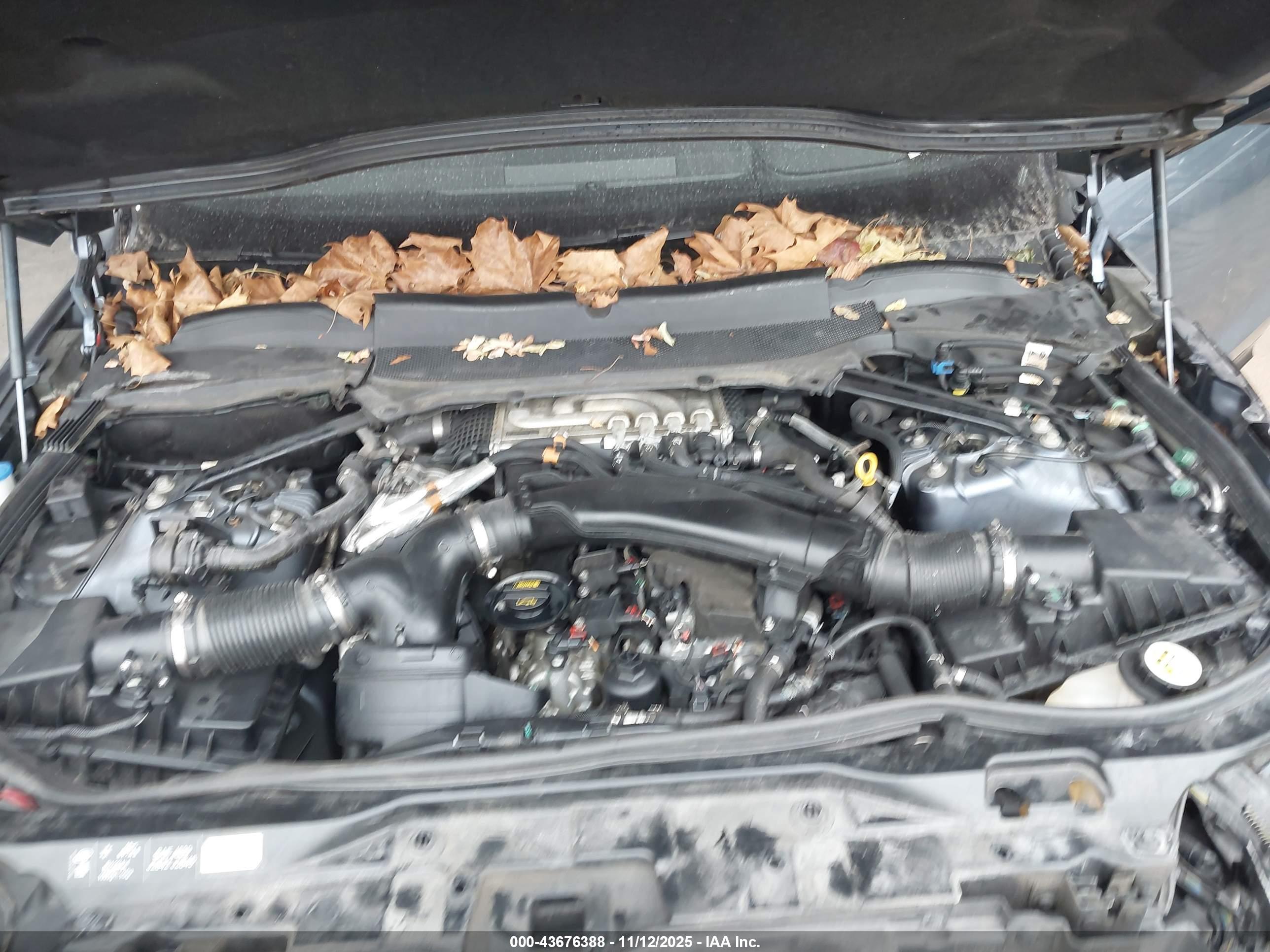 LAND ROVER image 10