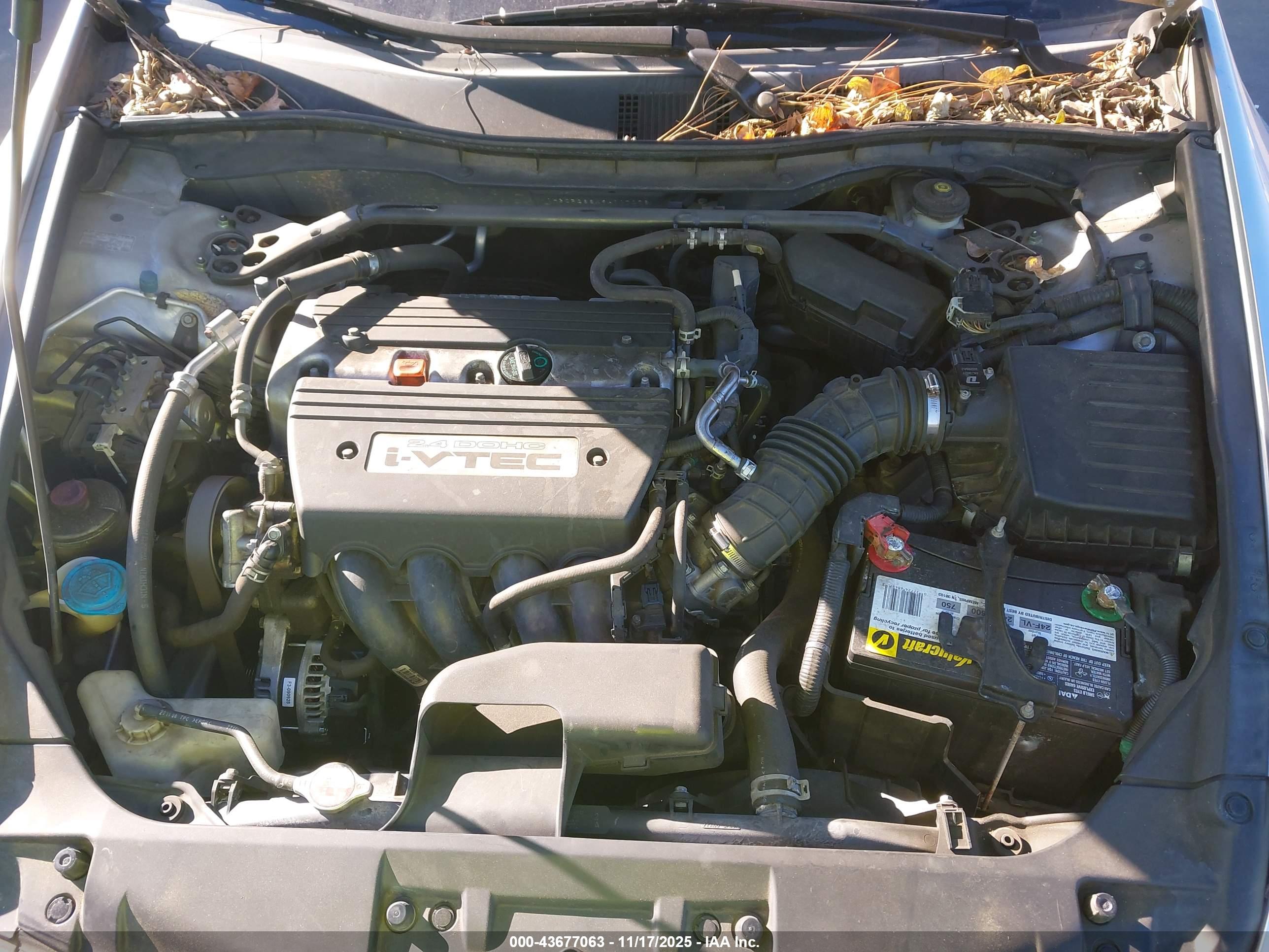 HONDA ACCORD image 10