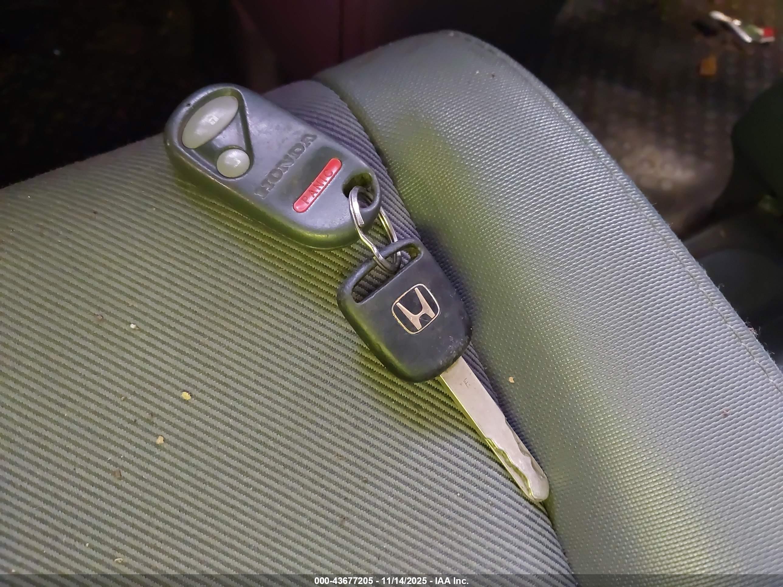 HONDA ELEMENT image 11