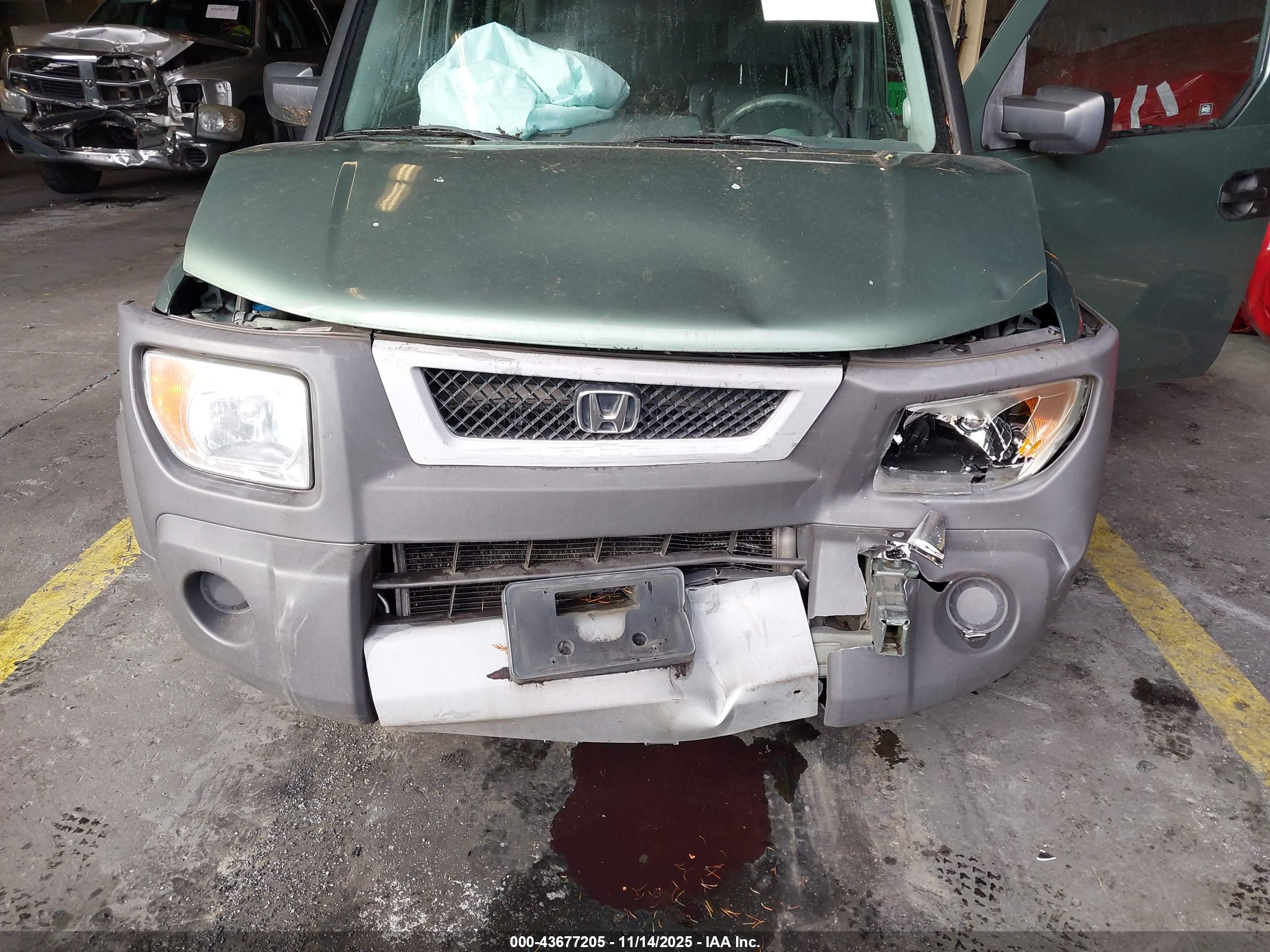 HONDA ELEMENT image 6