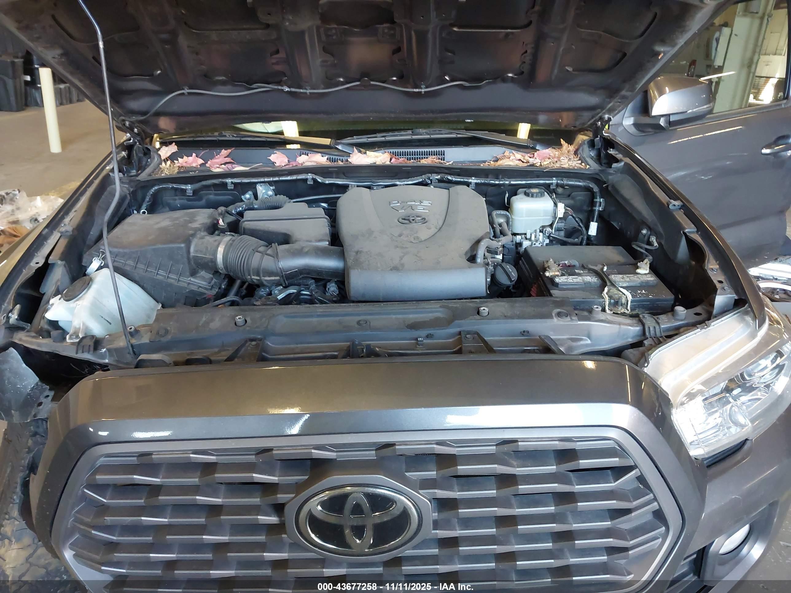 TOYOTA TACOMA image 10