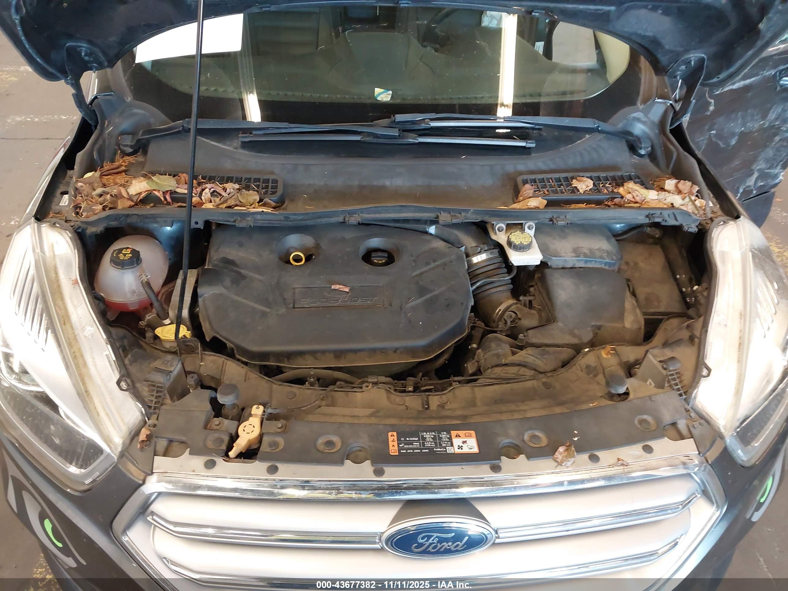 FORD ESCAPE image 10