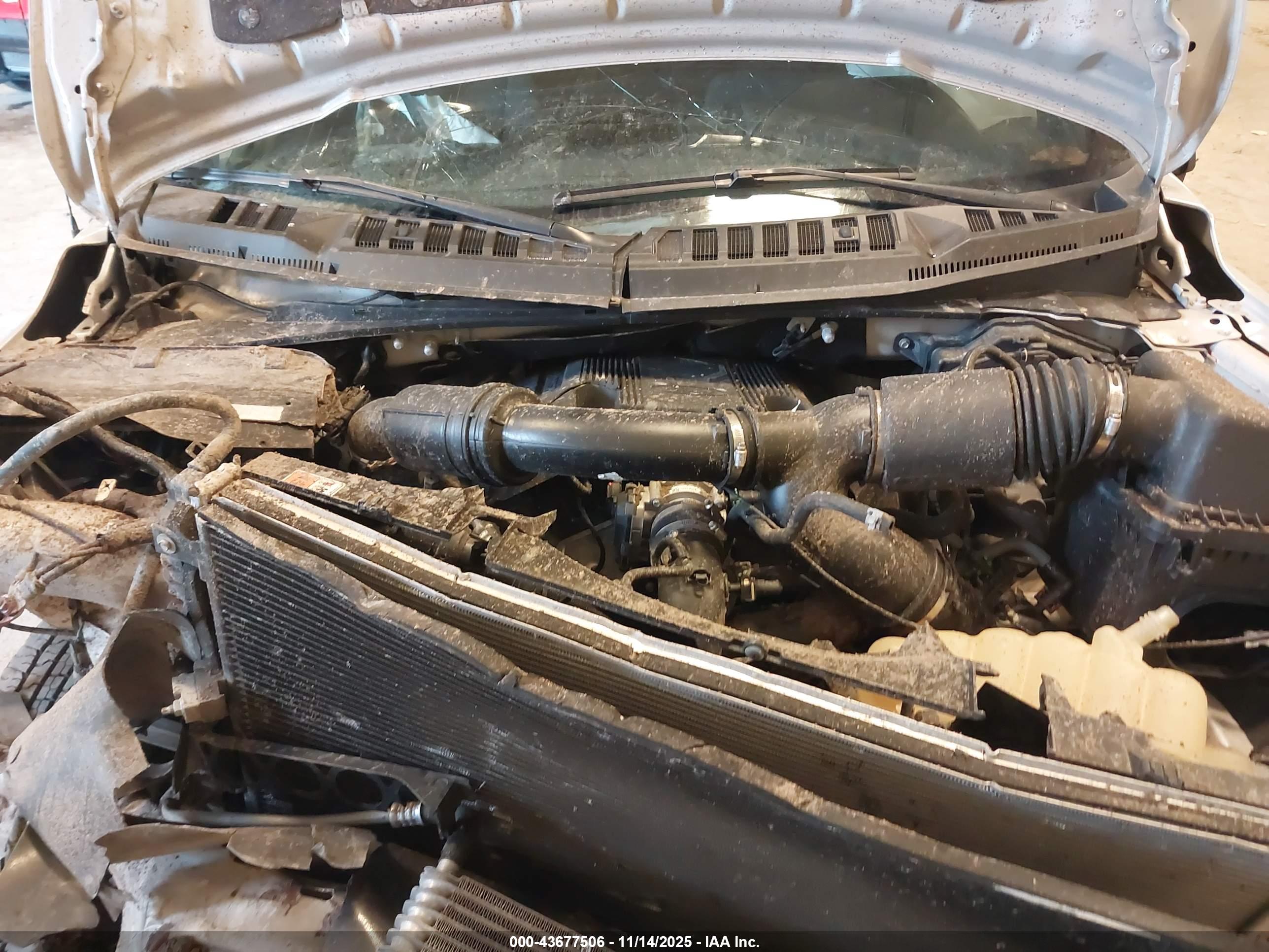 FORD F-150 image 10