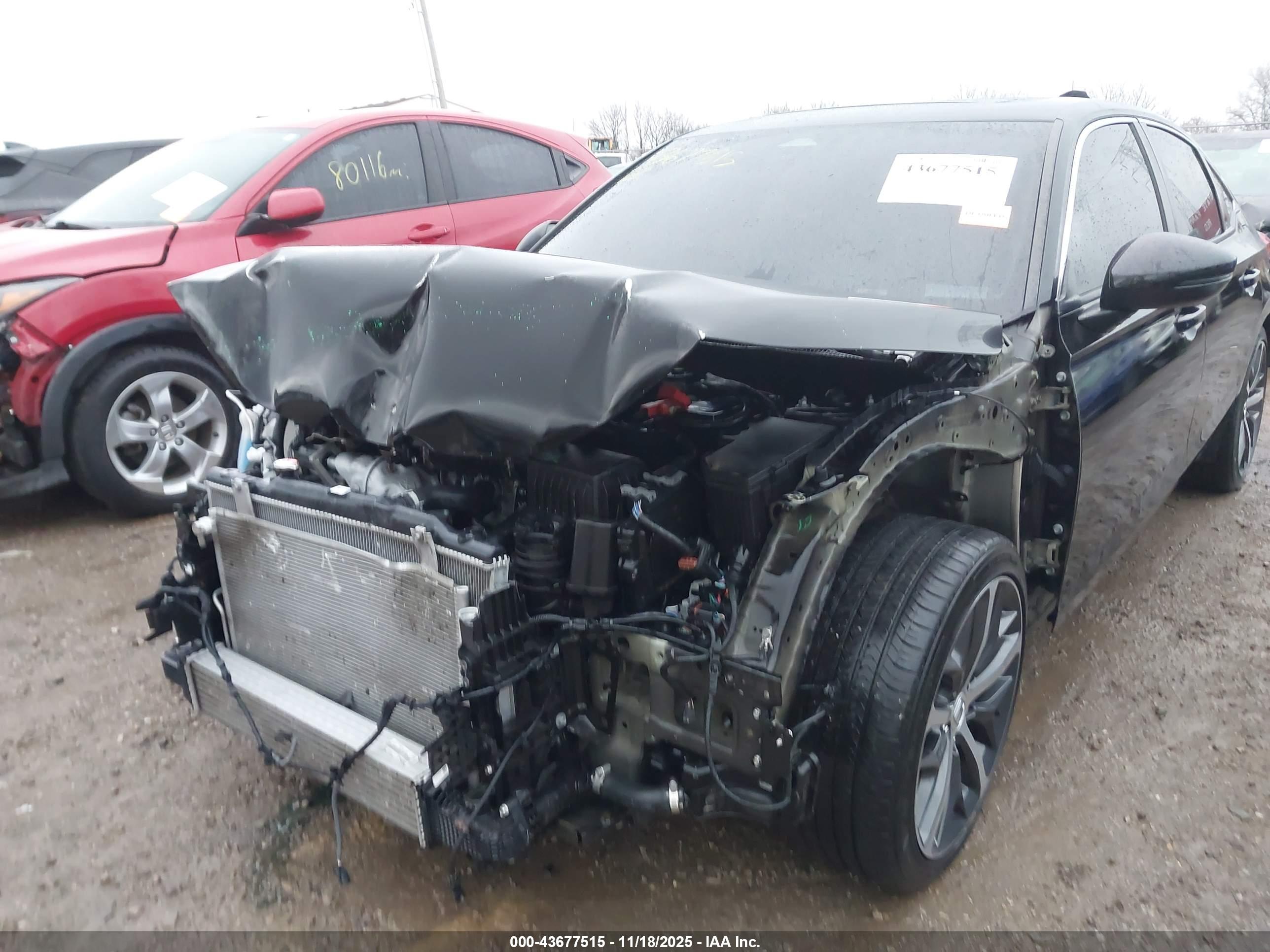 HONDA CIVIC image 6