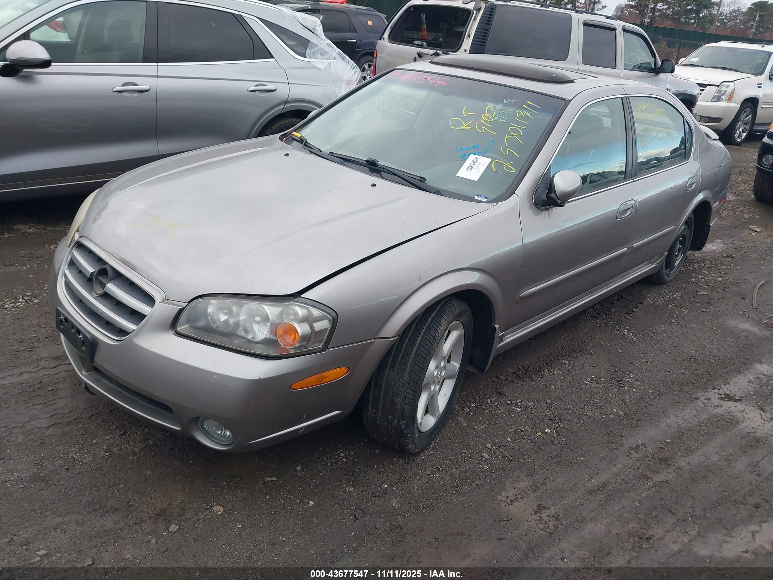 NISSAN MAXIMA image 2