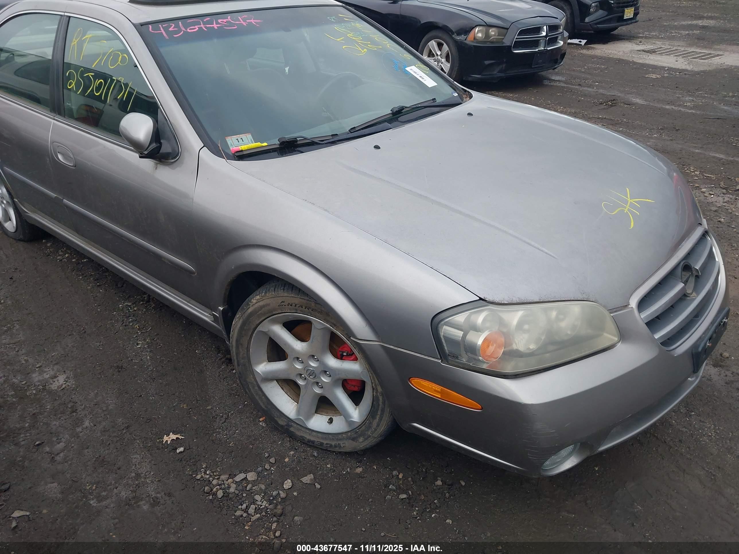 NISSAN MAXIMA image 6